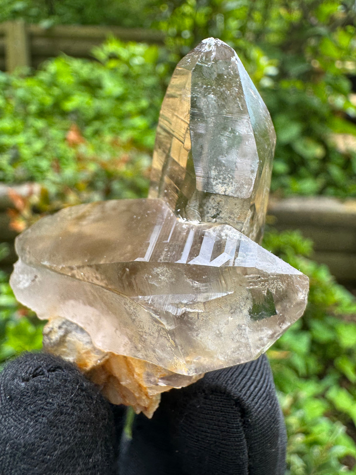 Quartz Specimen - 56g
