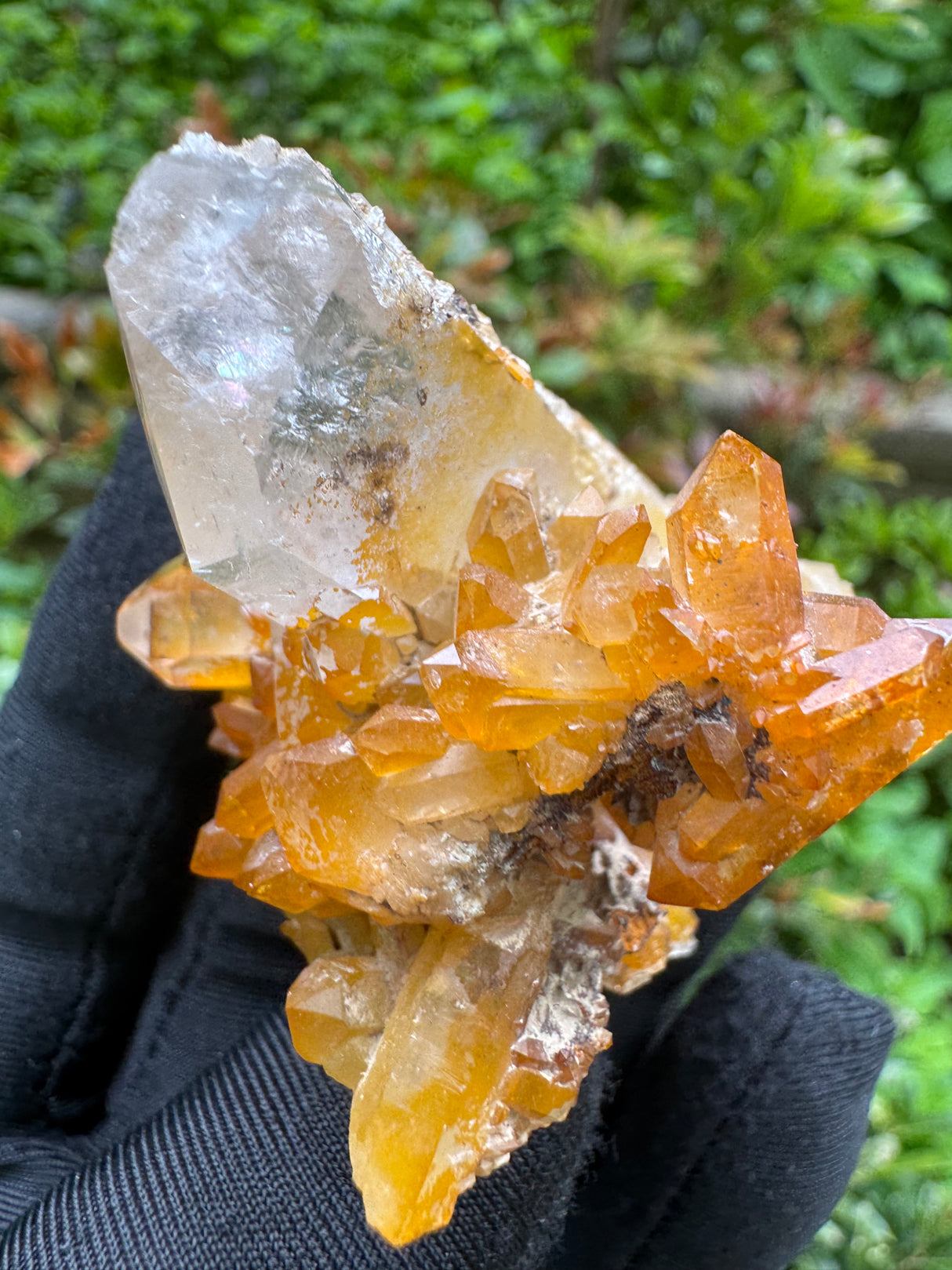 Iron Stained Quartz Specimen - 68g