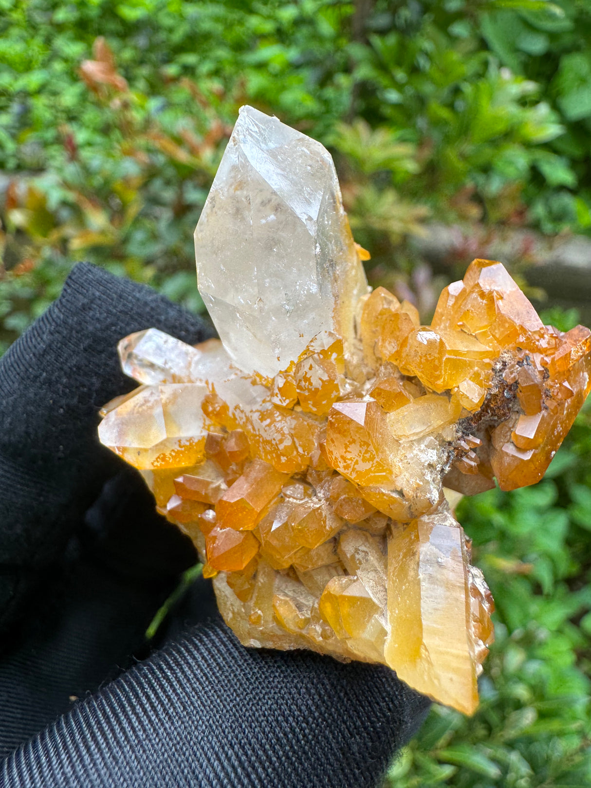 Iron Stained Quartz Specimen - 68g