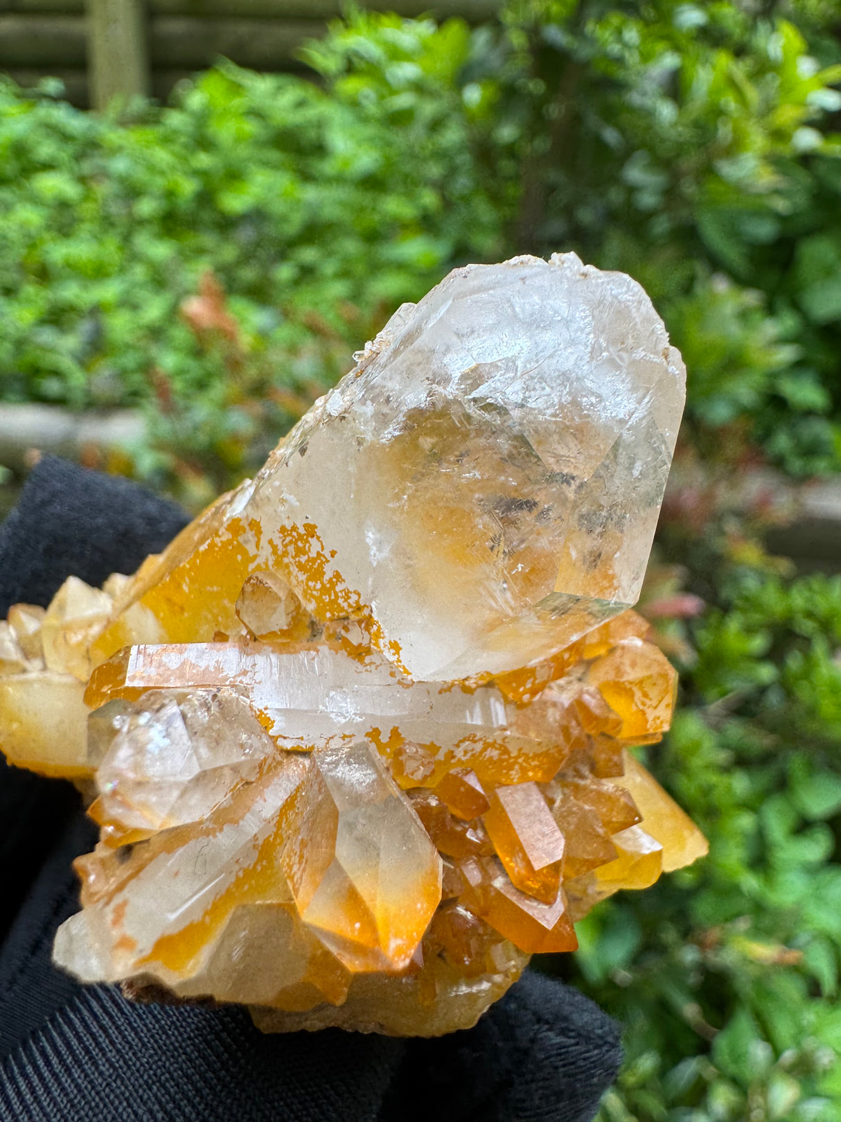 Iron Stained Quartz Specimen - 68g
