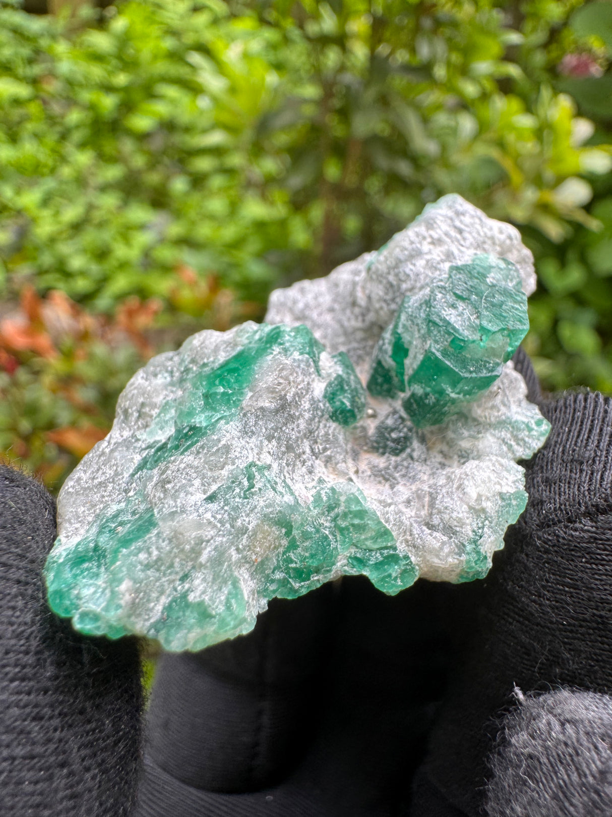Emerald Specimen - 26g
