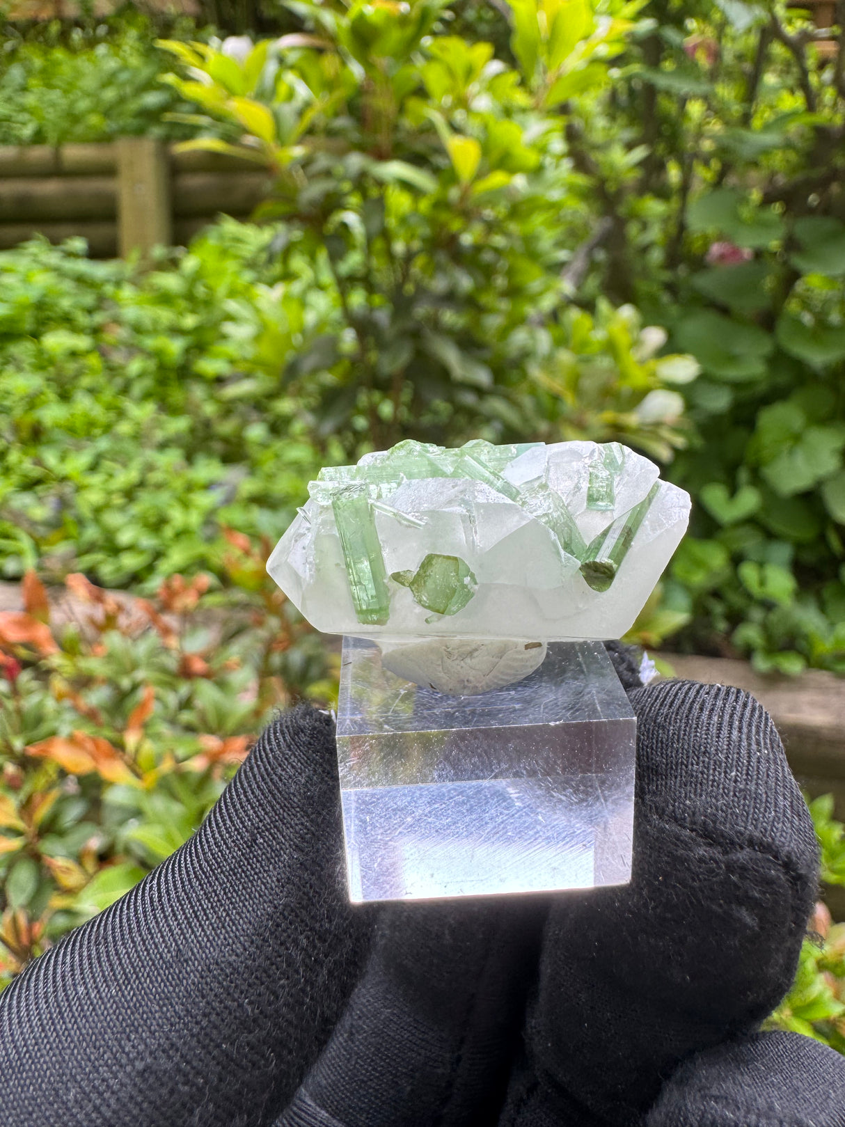 Tourmaline Specimen - 19g