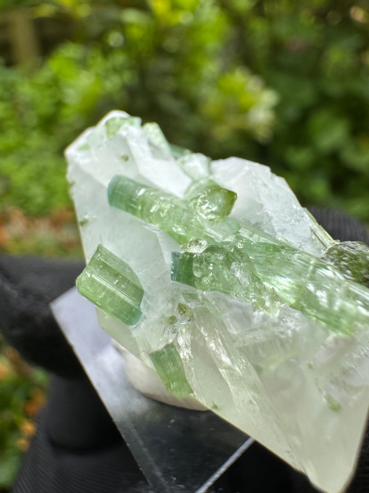 Tourmaline Specimen - 19g