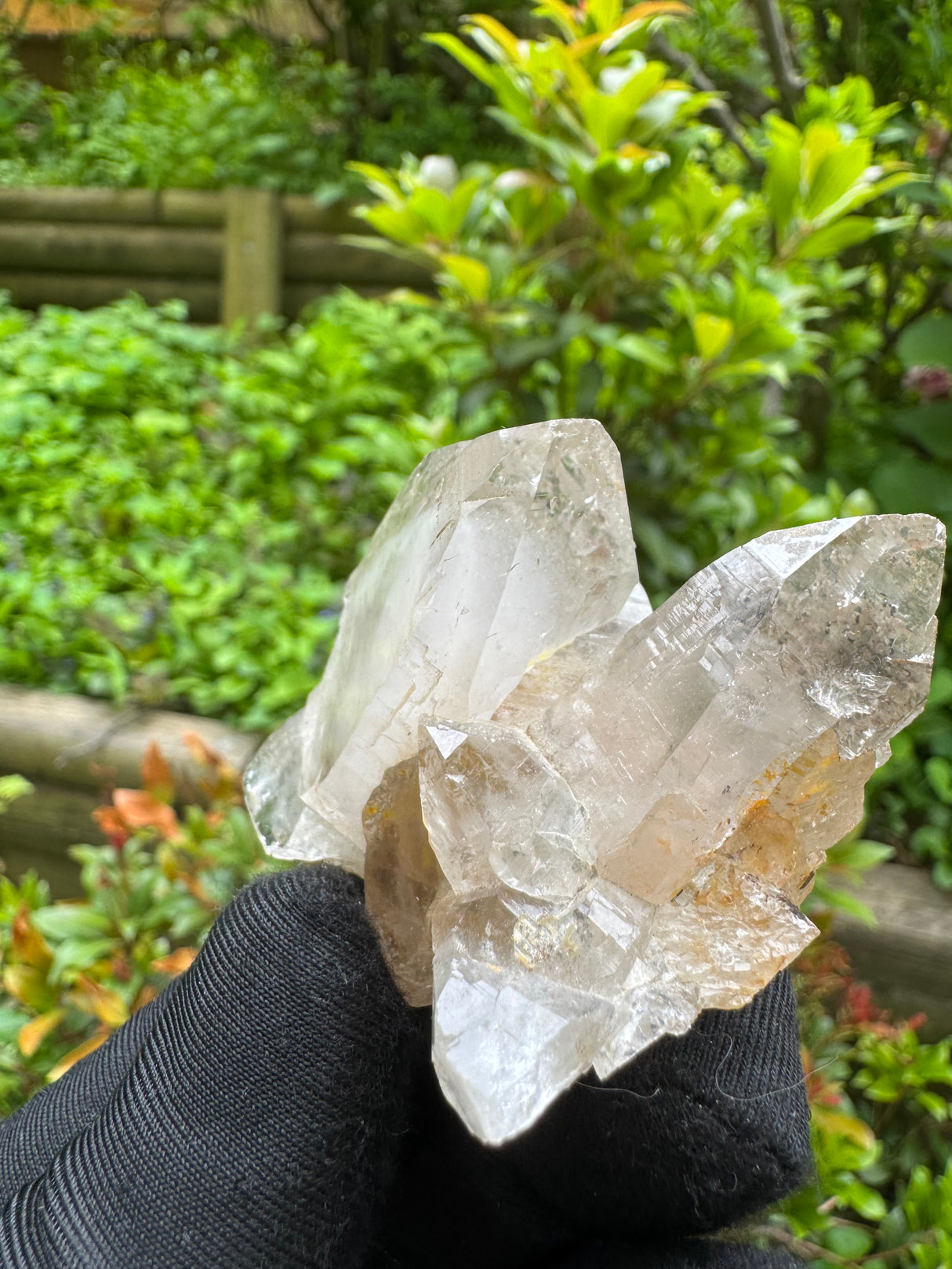 Quartz Specimen - 66g