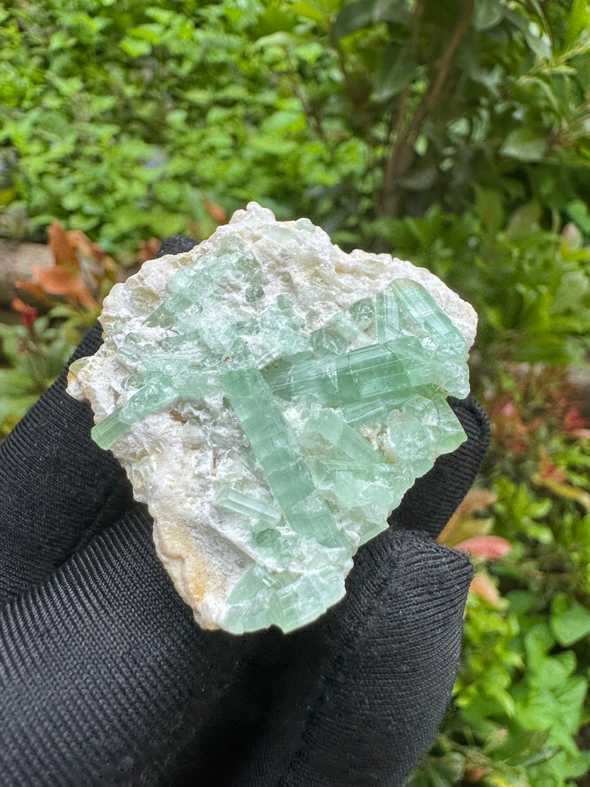 Green Tourmaline Crystal Specimen - 32g