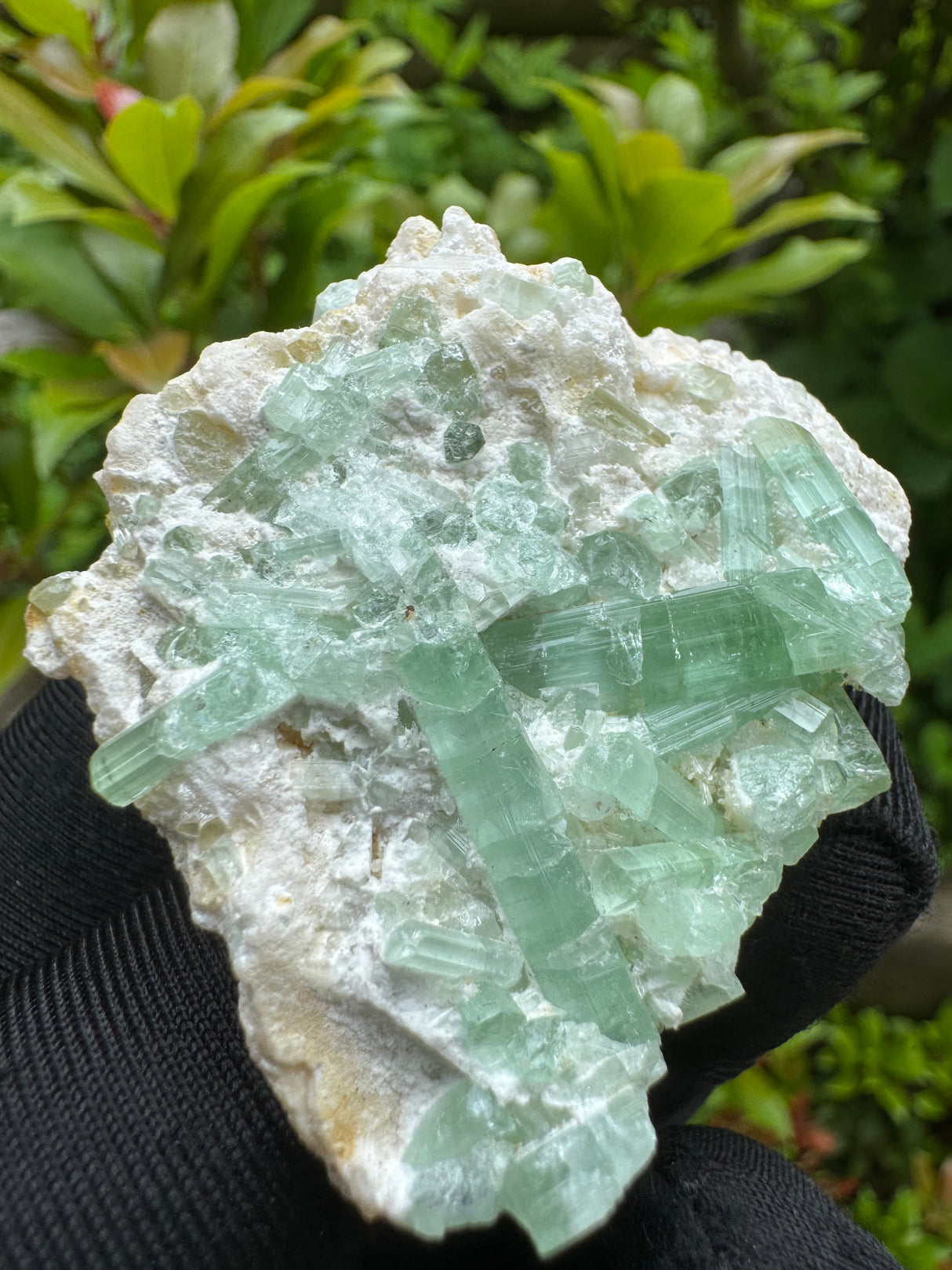 Green Tourmaline Crystal Specimen - 32g