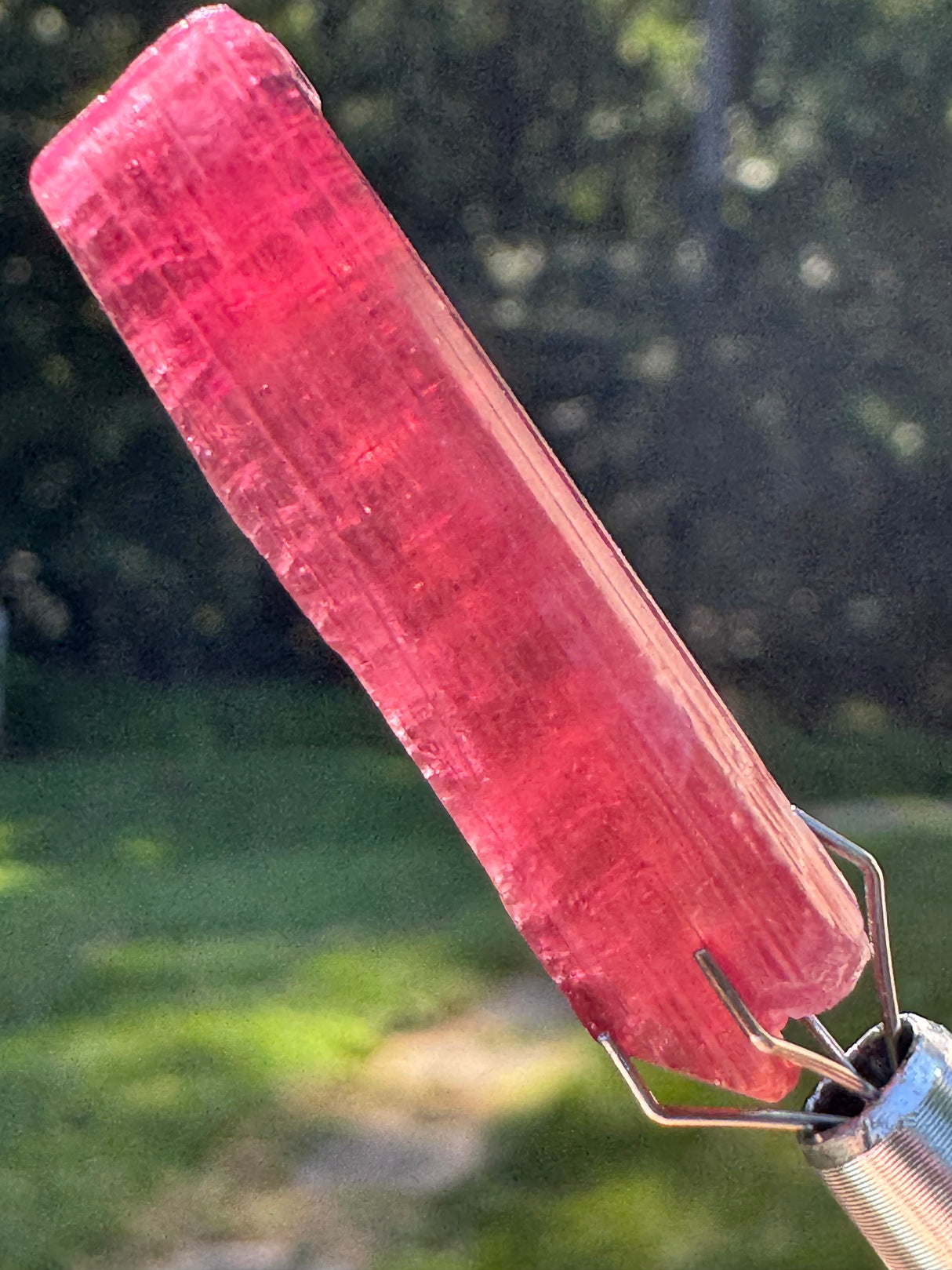 Tourmaline Crystal - 5.7g