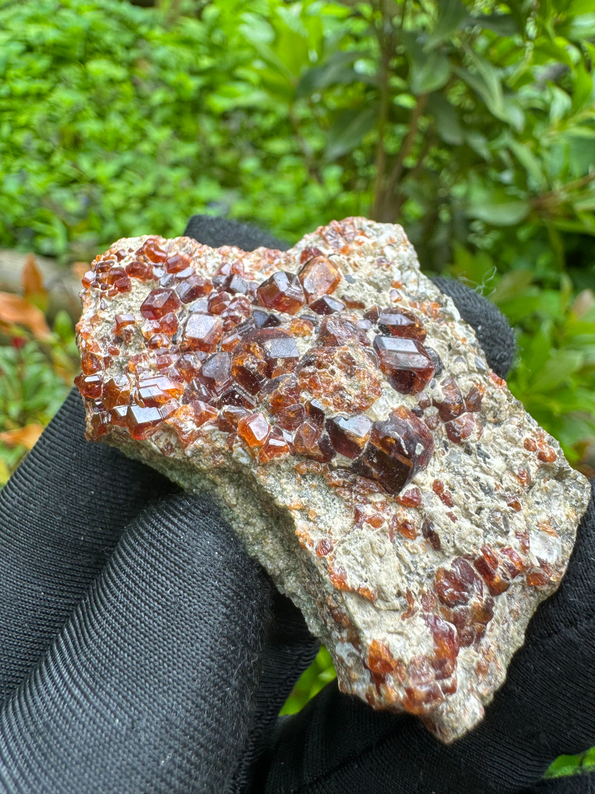 Garnet Specimen - 55g