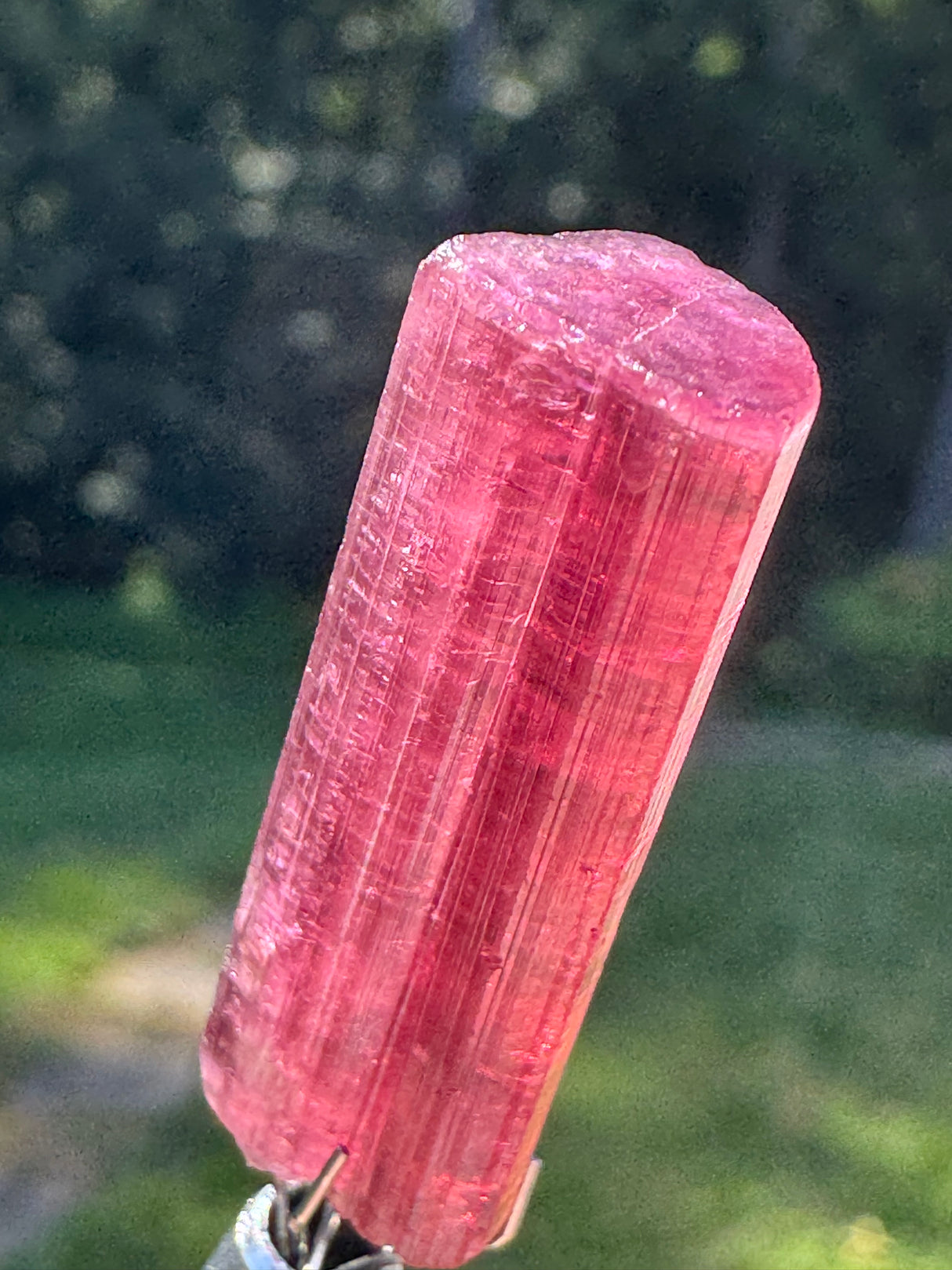 Tourmaline Crystal - 5.7g