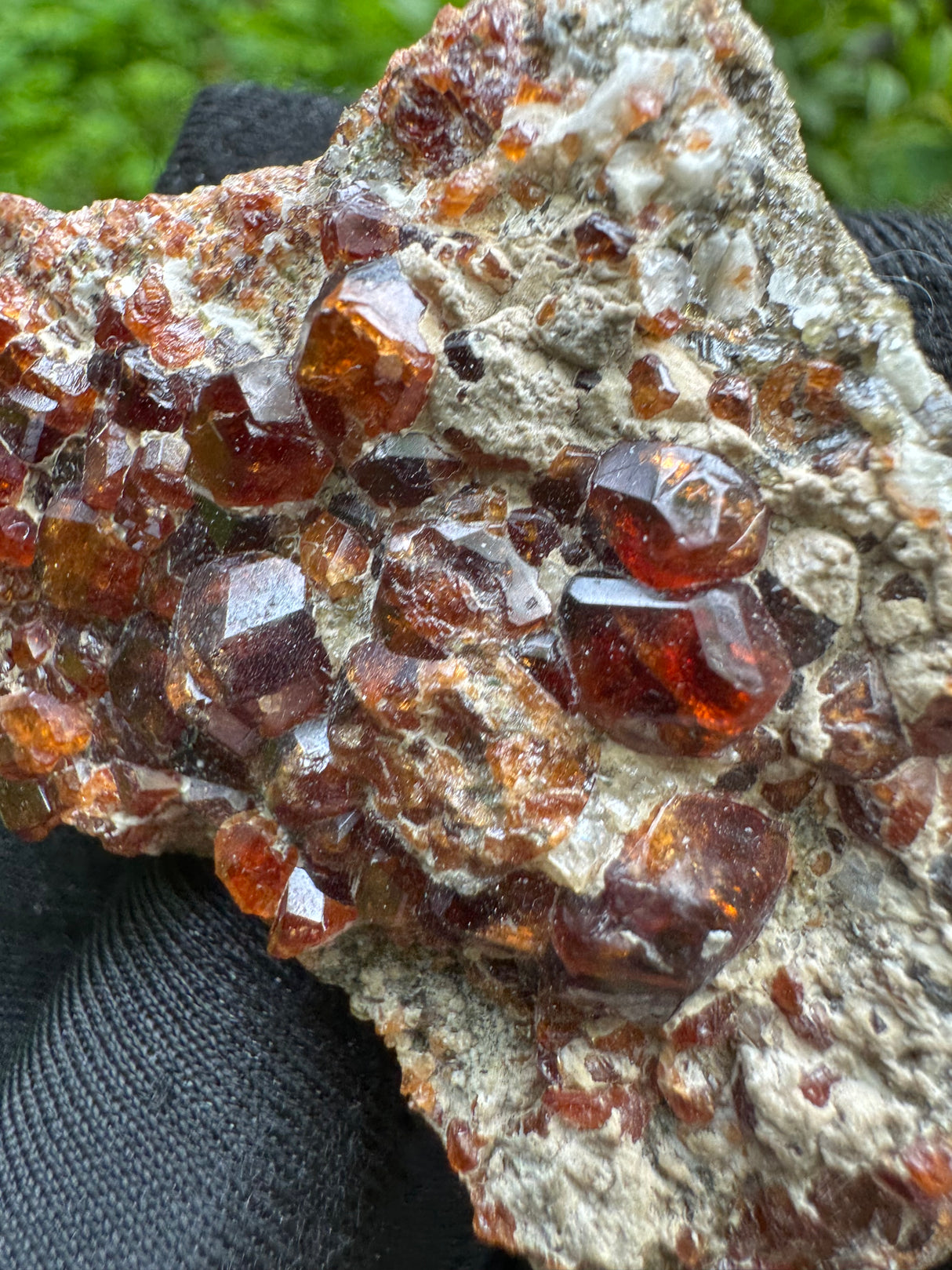 Garnet Specimen - 55g