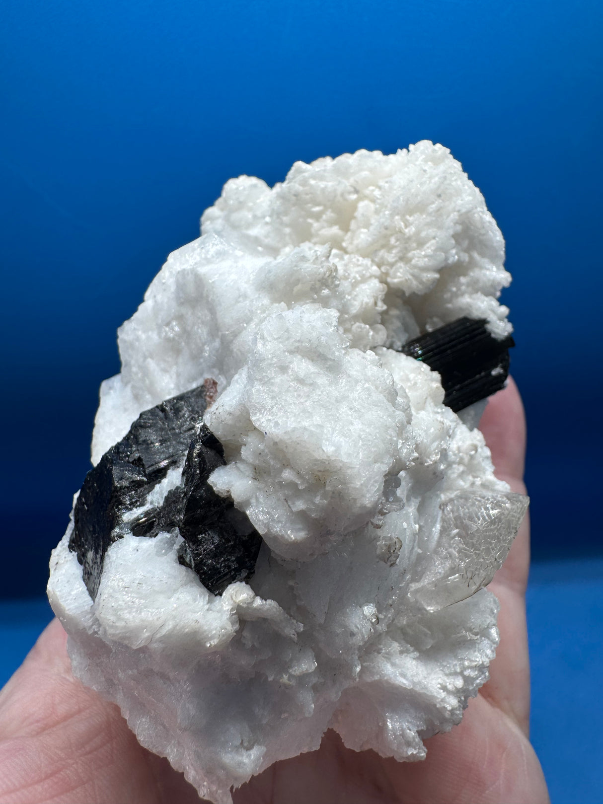 Black Tourmaline Specimen - 477g