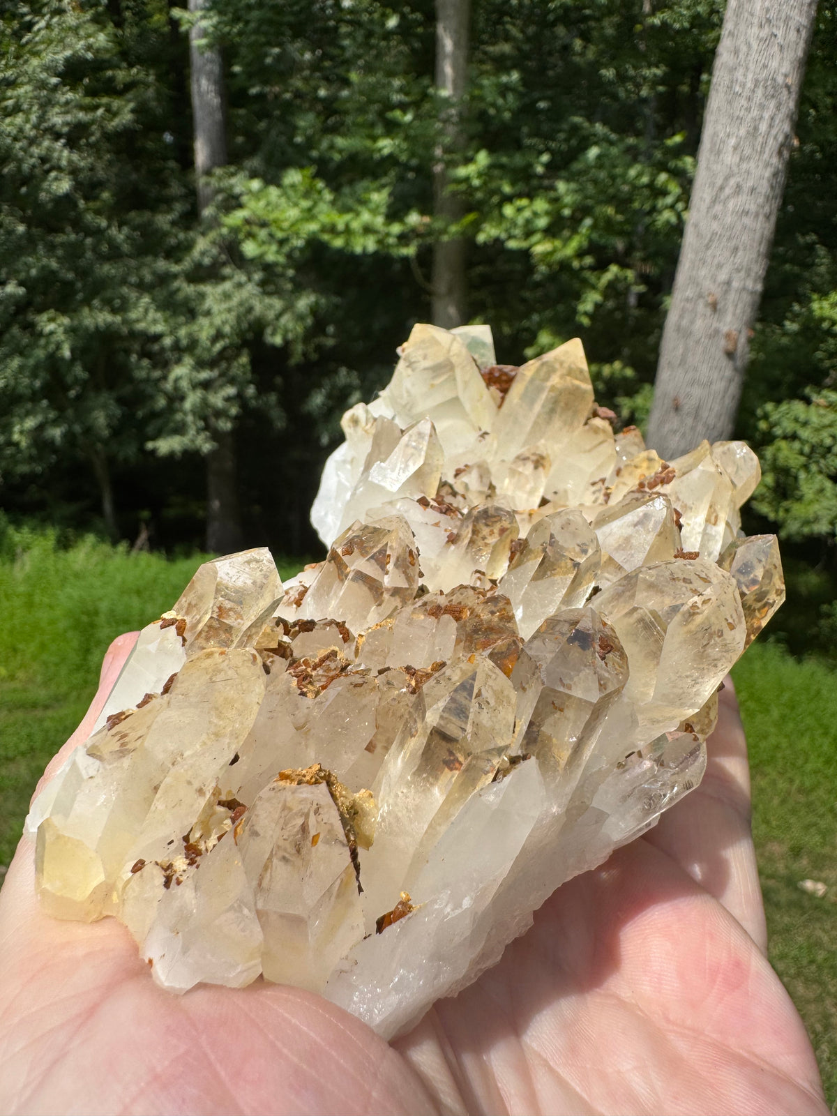 Quartz Specimen - 706g