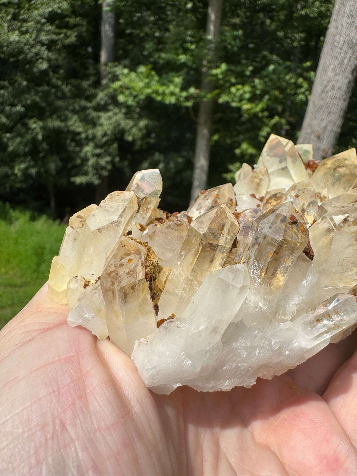 Quartz Specimen - 706g