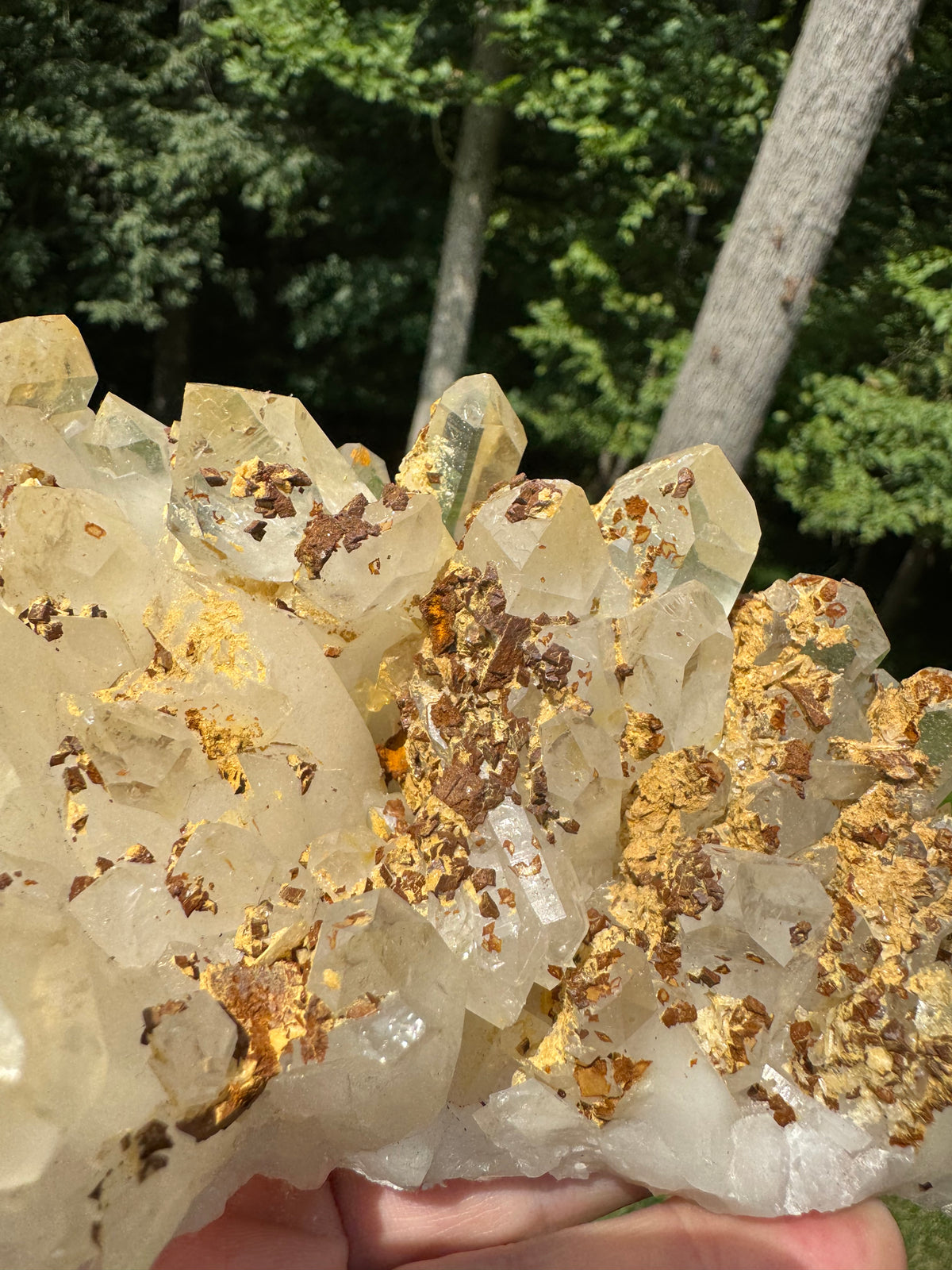 Quartz Specimen - 706g