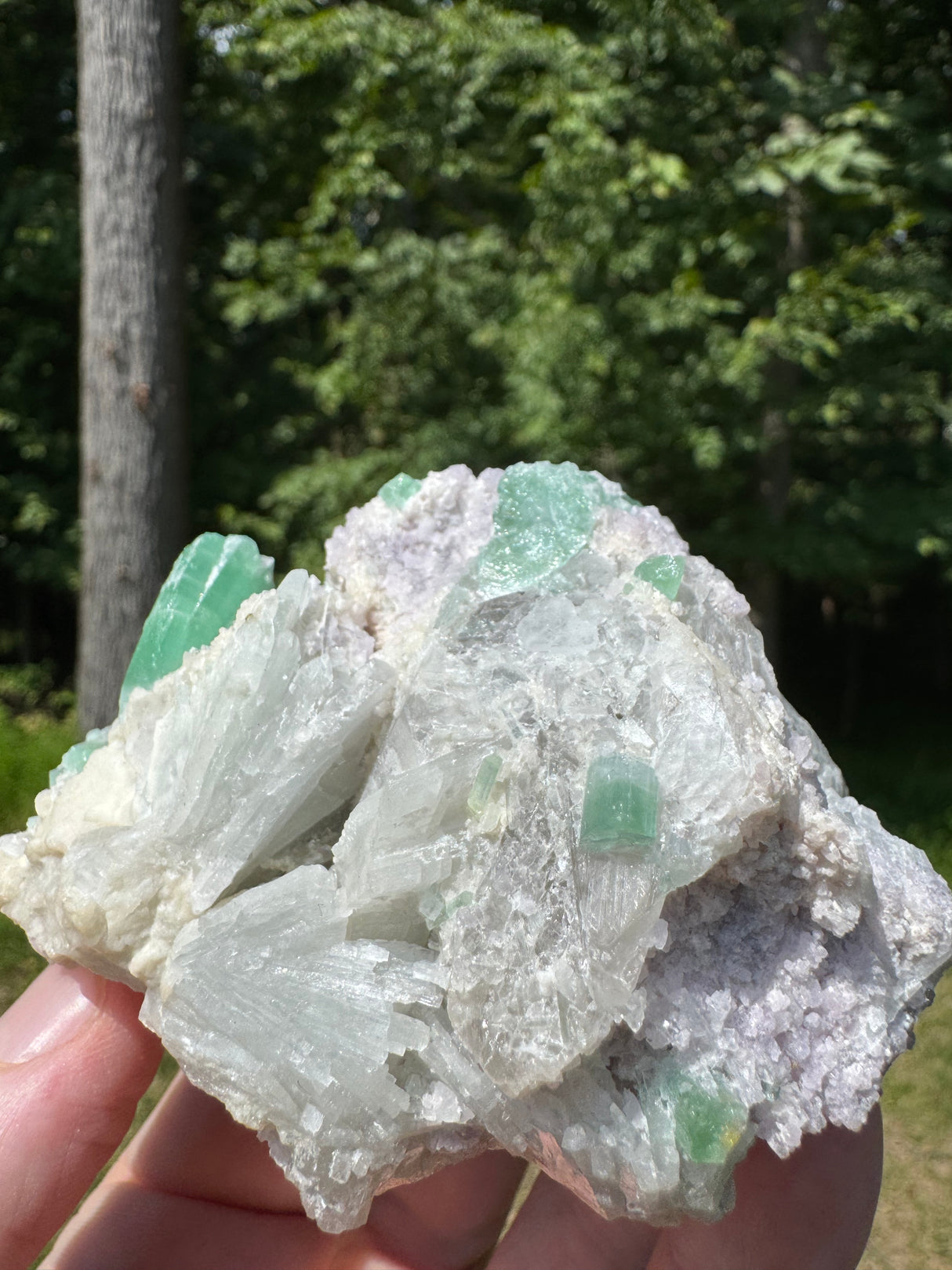 Tourmaline Specimen - 307g