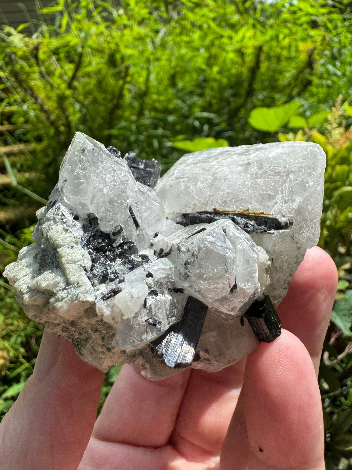 Tourmaline Specimen - 224g