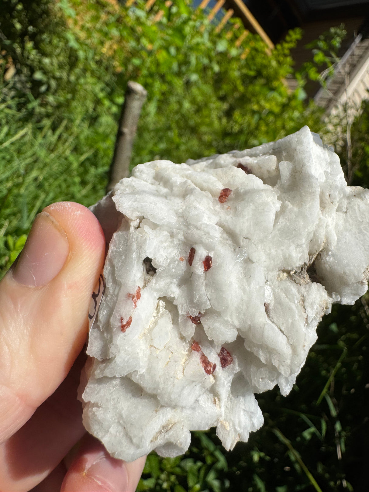 Garnet Specimen - 183g