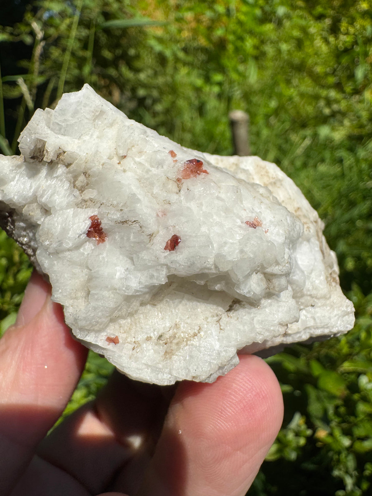 Garnet Specimen - 183g