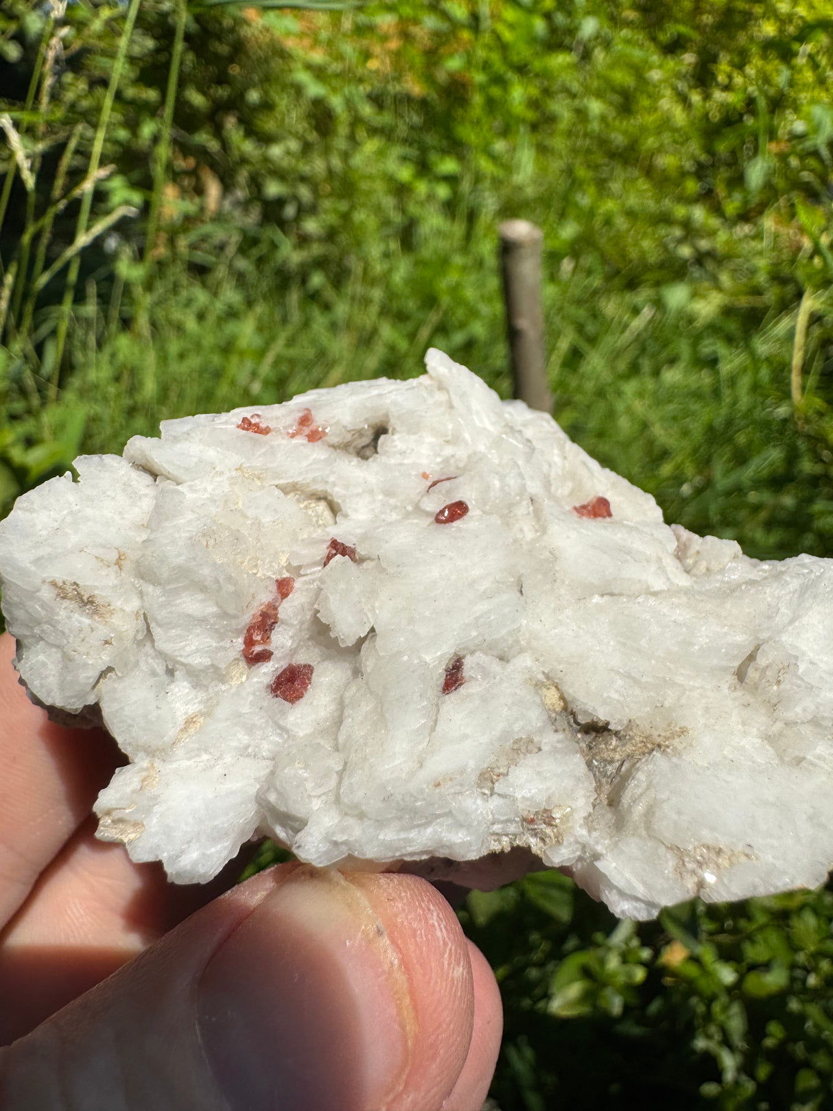 Garnet Specimen - 183g