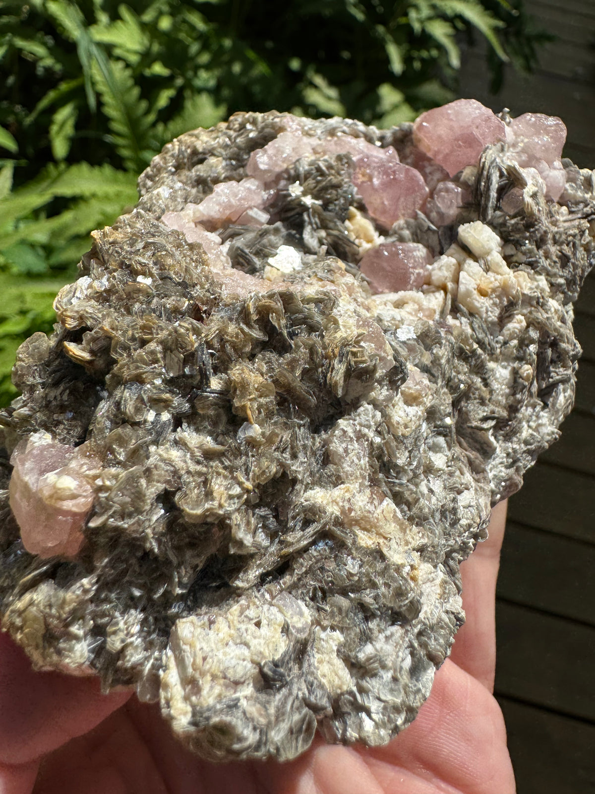 Pink Appetite Specimen - 418g