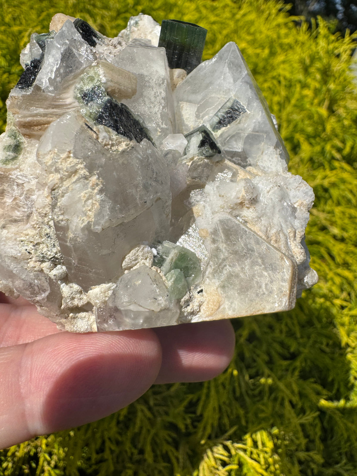 Tourmaline Specimen - 351g