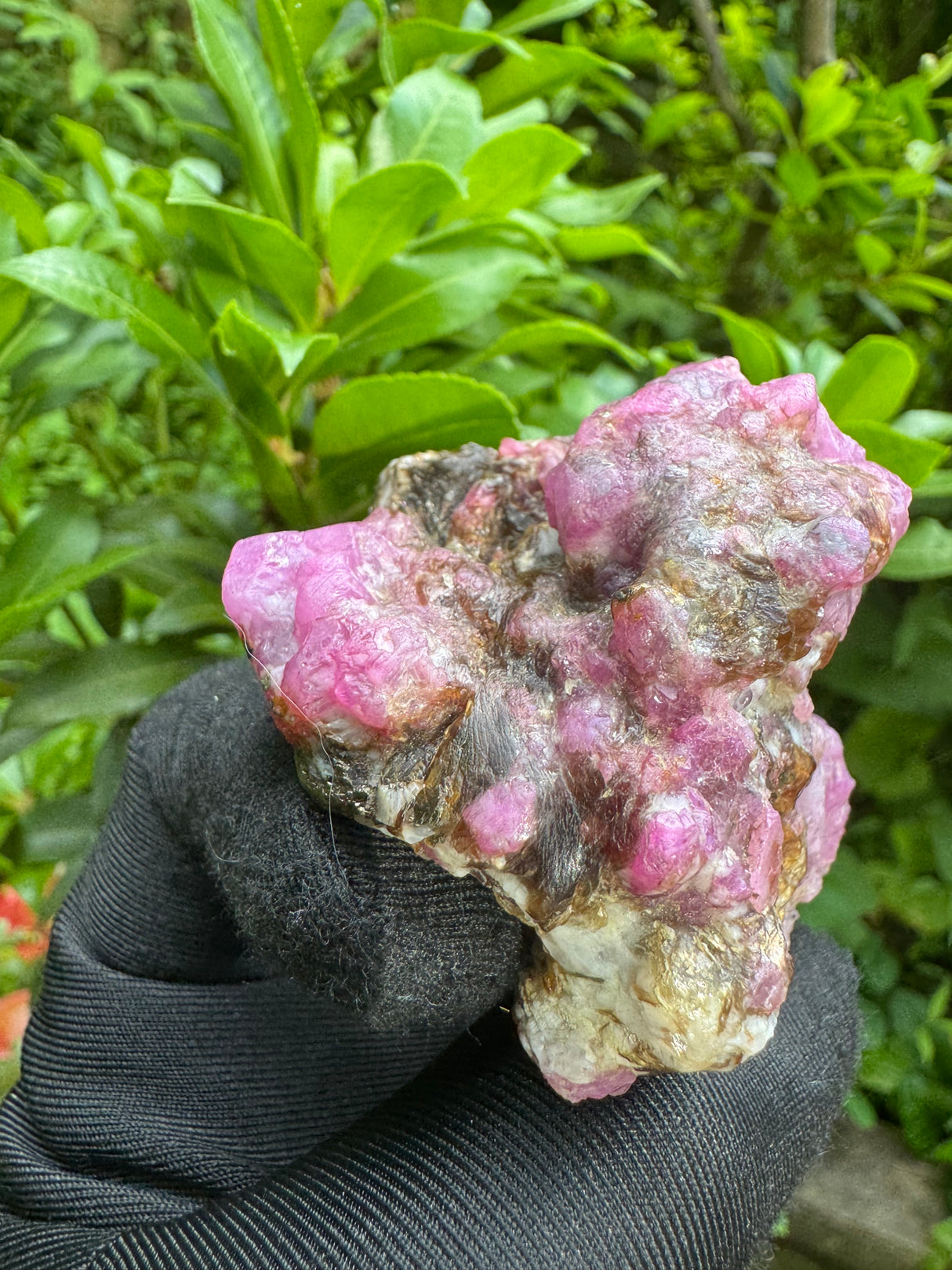 Rare Ruby Specimen - 110g