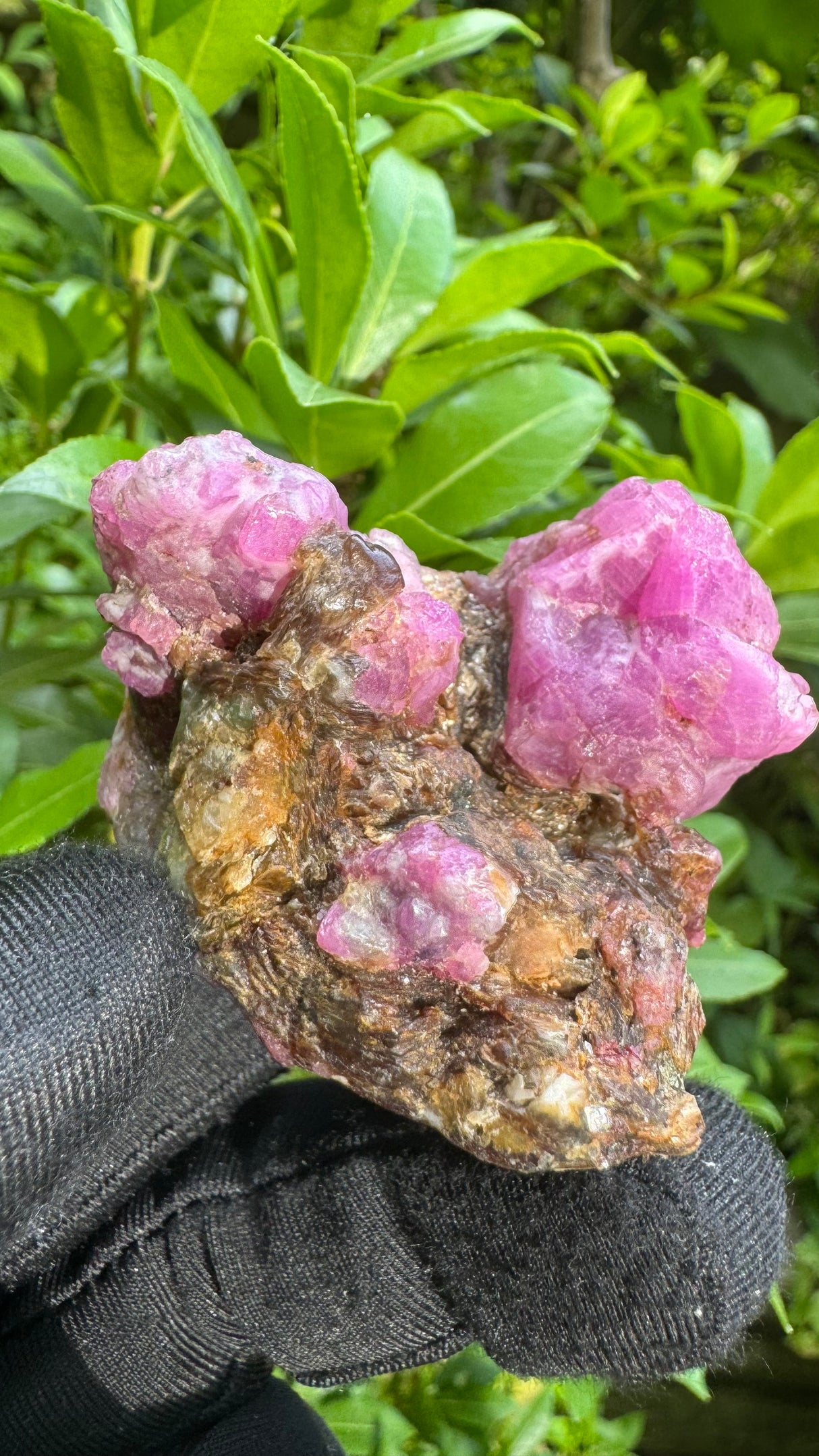 Rare Ruby Specimen - 110g