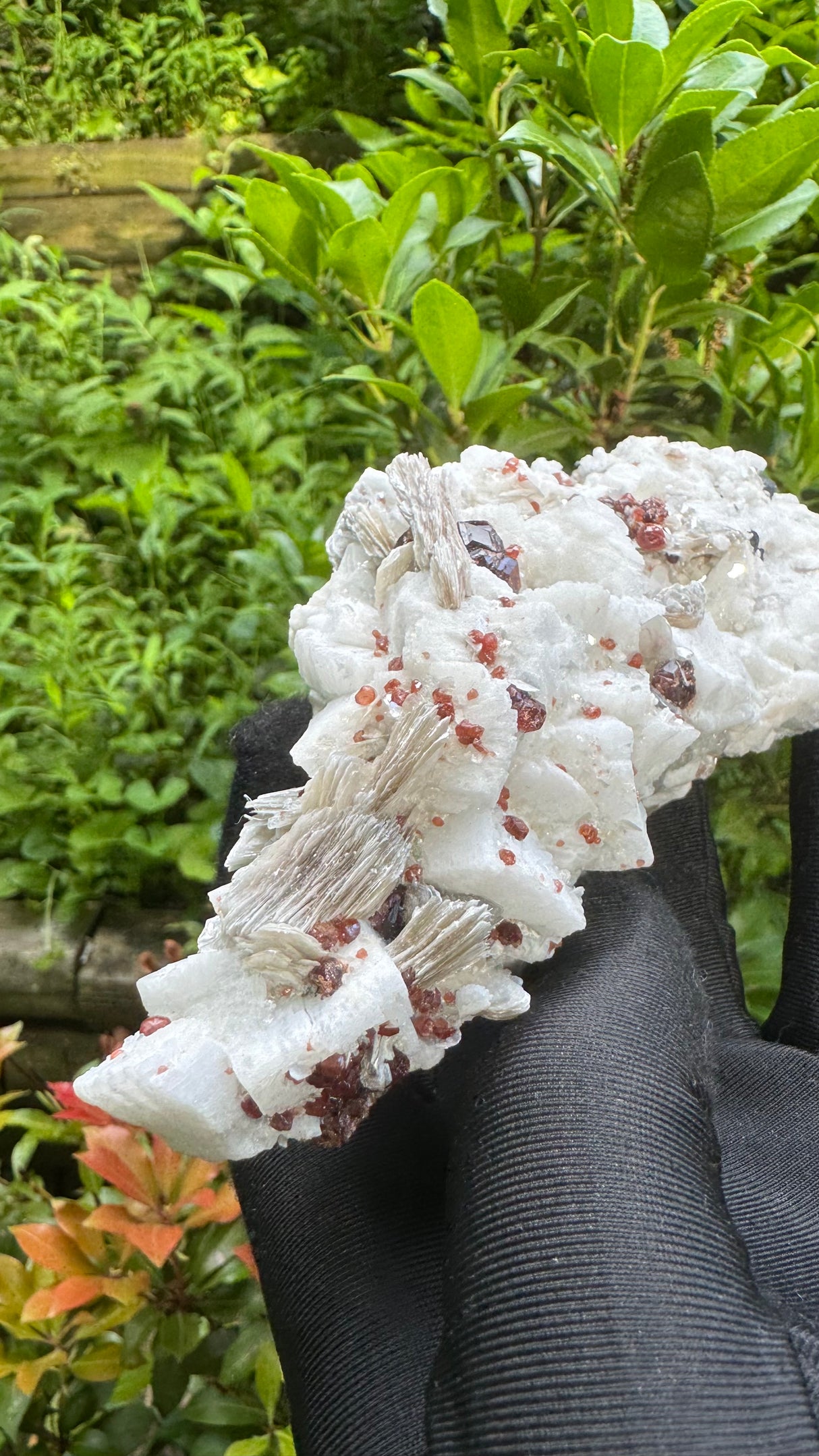 Garnet and Star Mica Specimen - 301g