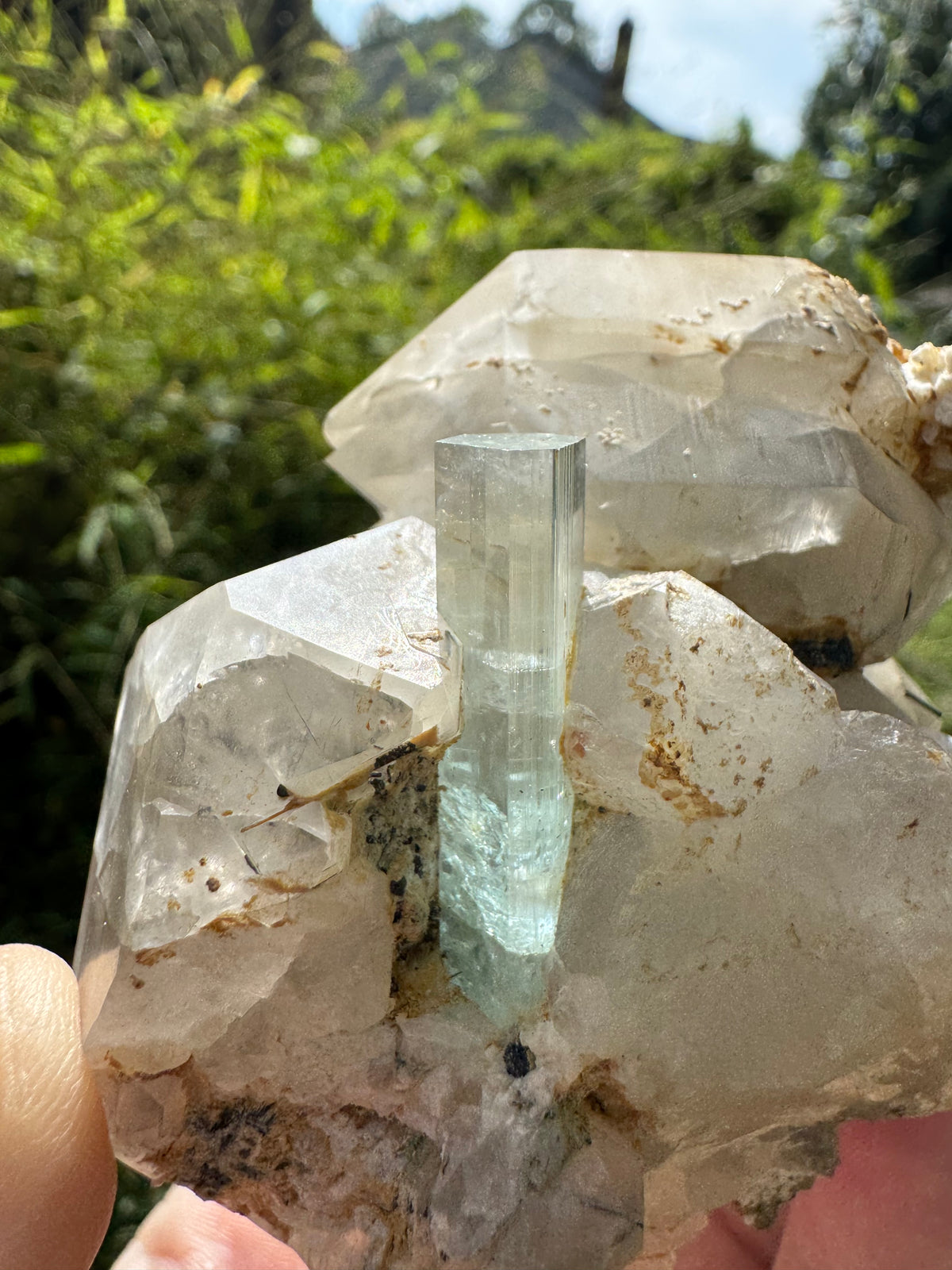 Aquamarine on Quartz Specimen - 605g