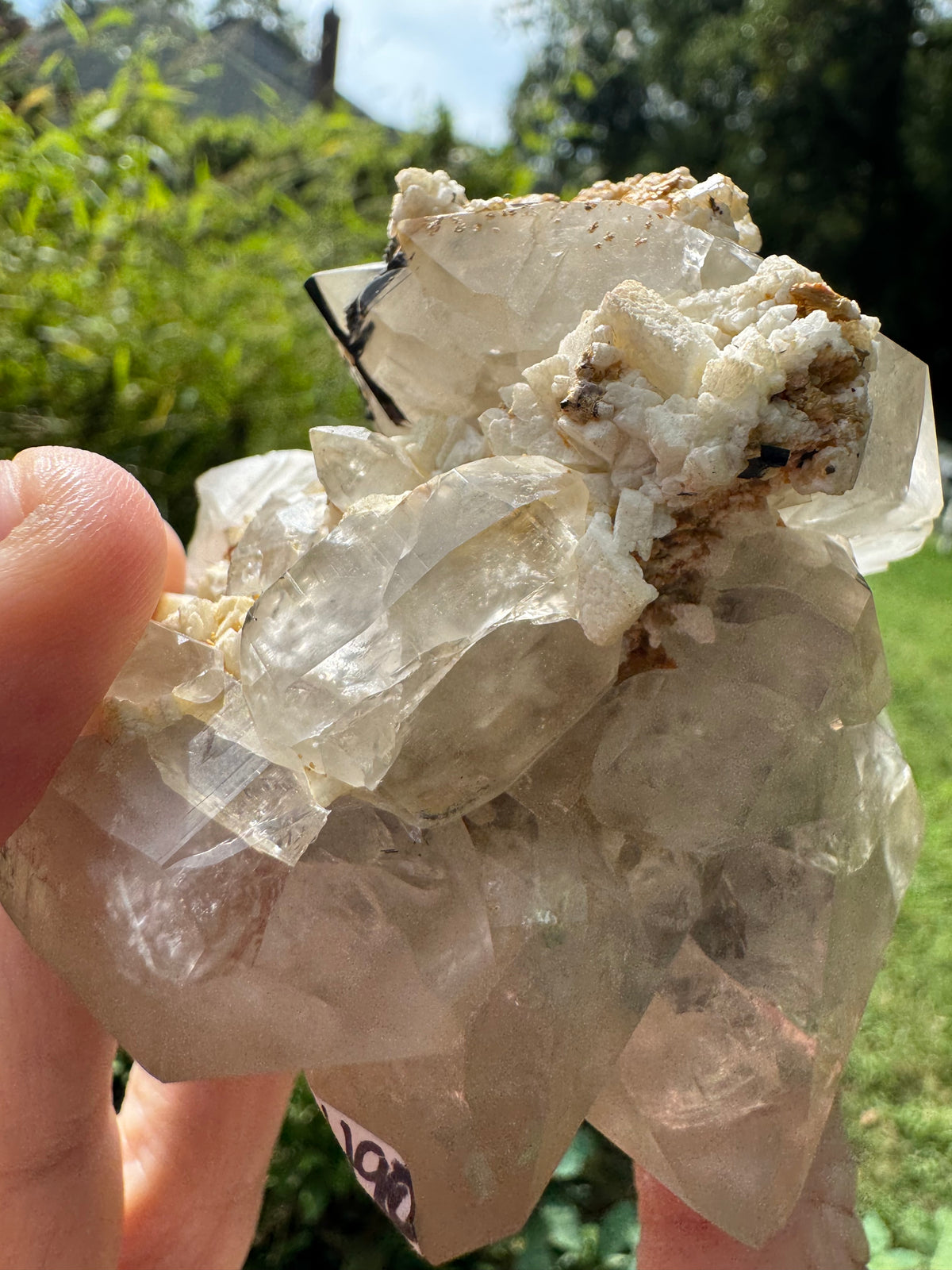 Aquamarine on Quartz Specimen - 605g