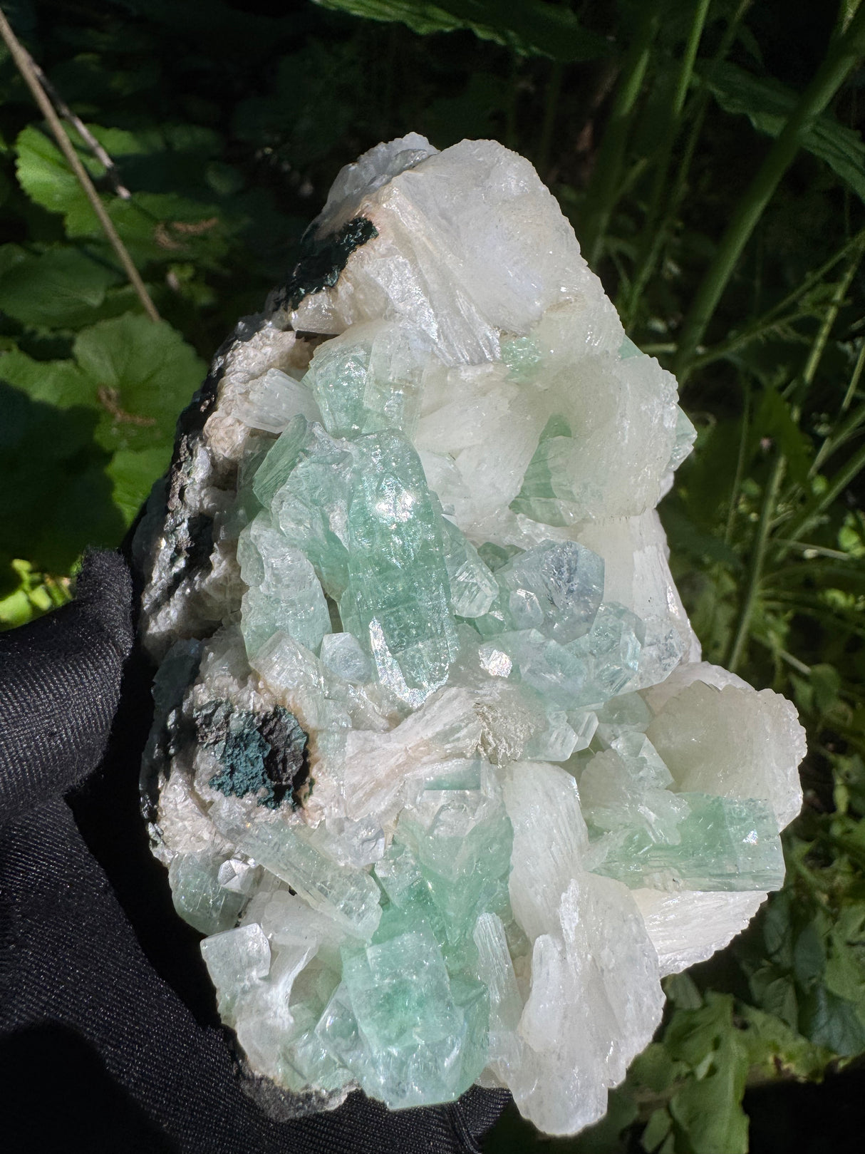 Green Apophyllite - 786g