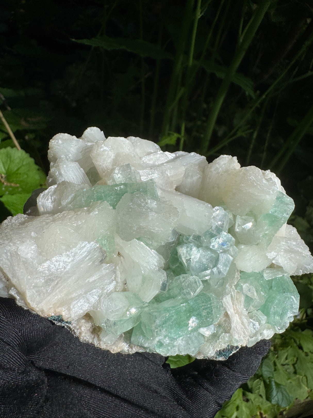 Green Apophyllite - 786g