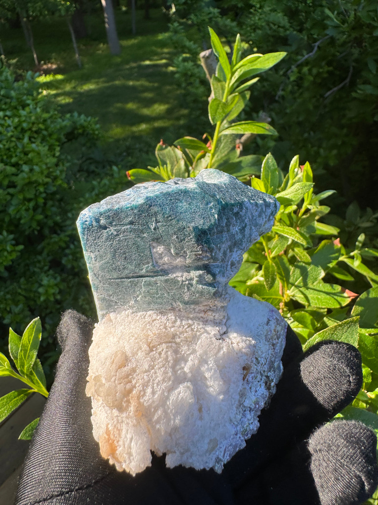 Sodalite Specimen - 519g