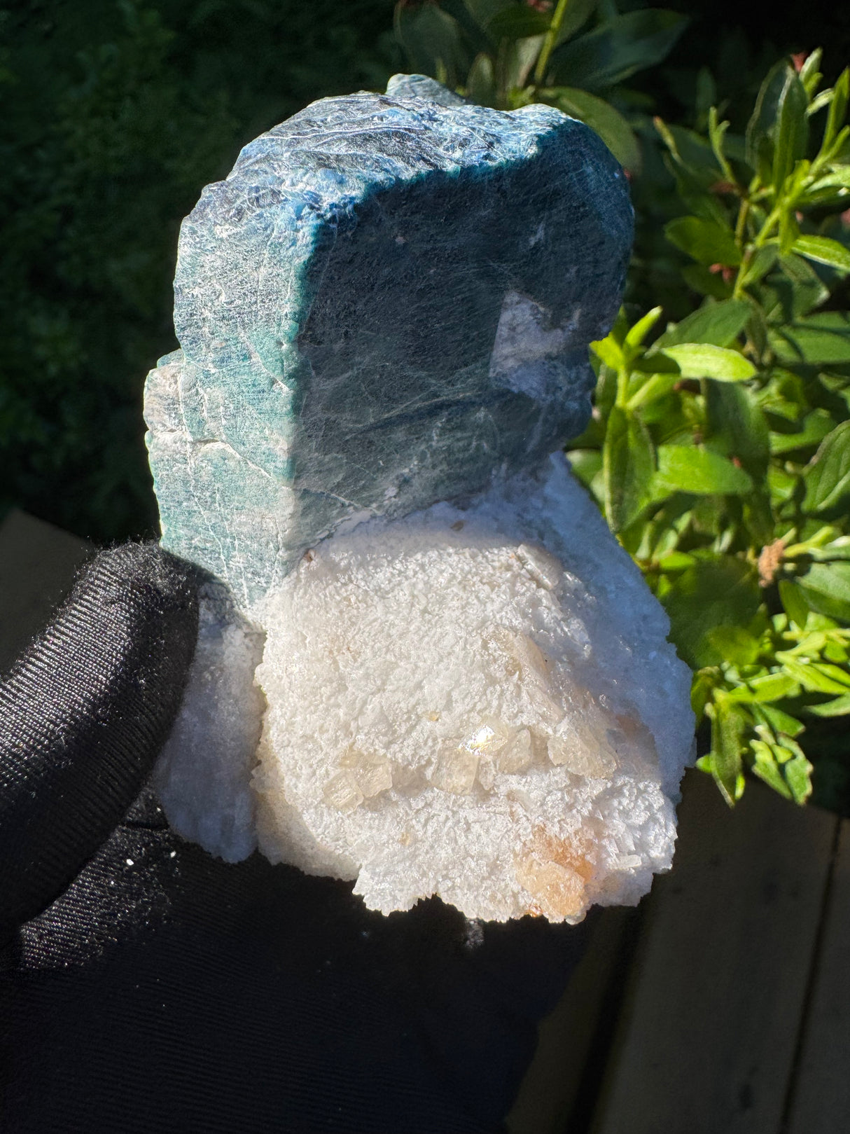 Sodalite Specimen - 519g