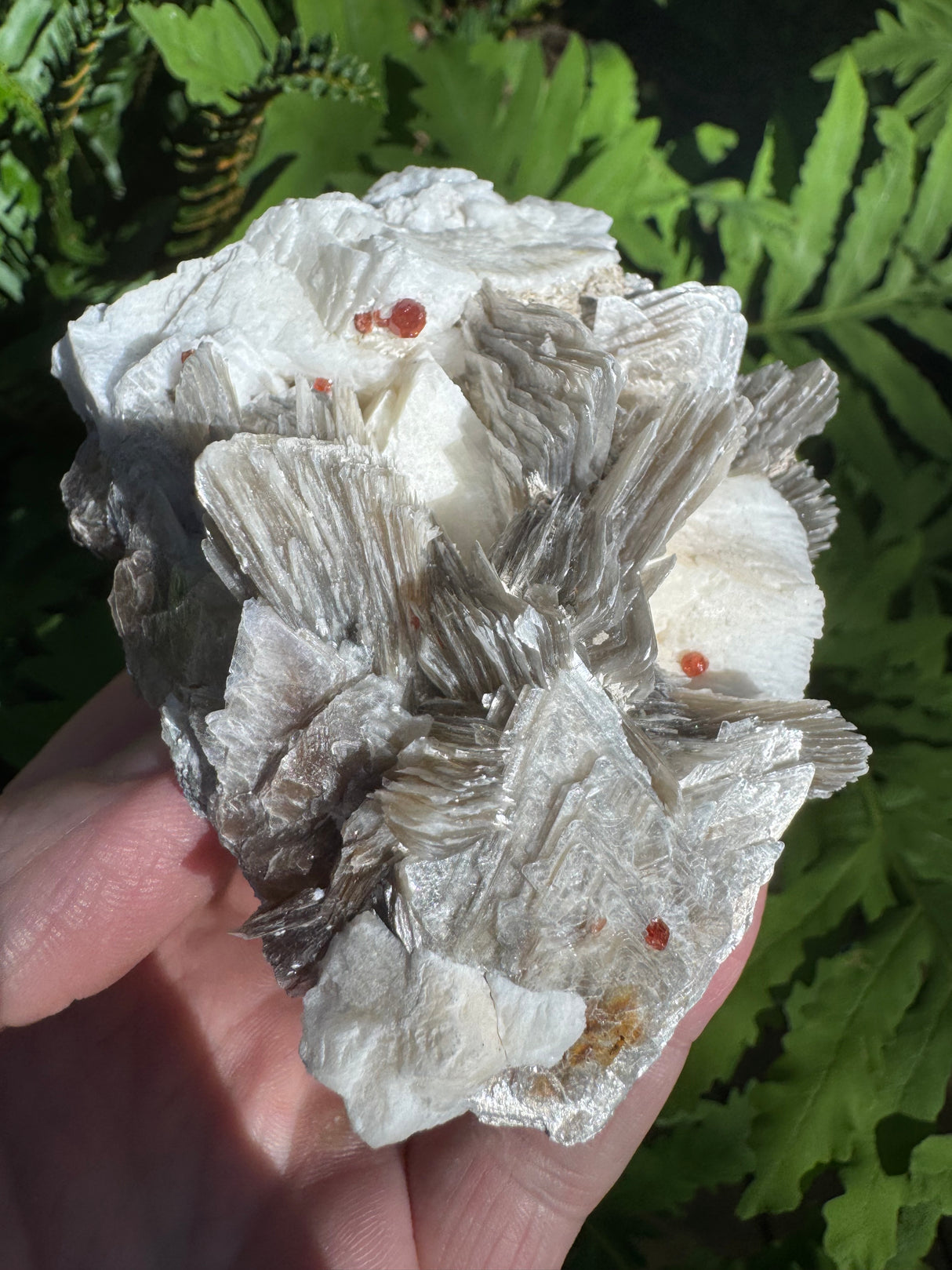 Garnet on Star Mica Specimen - 87g