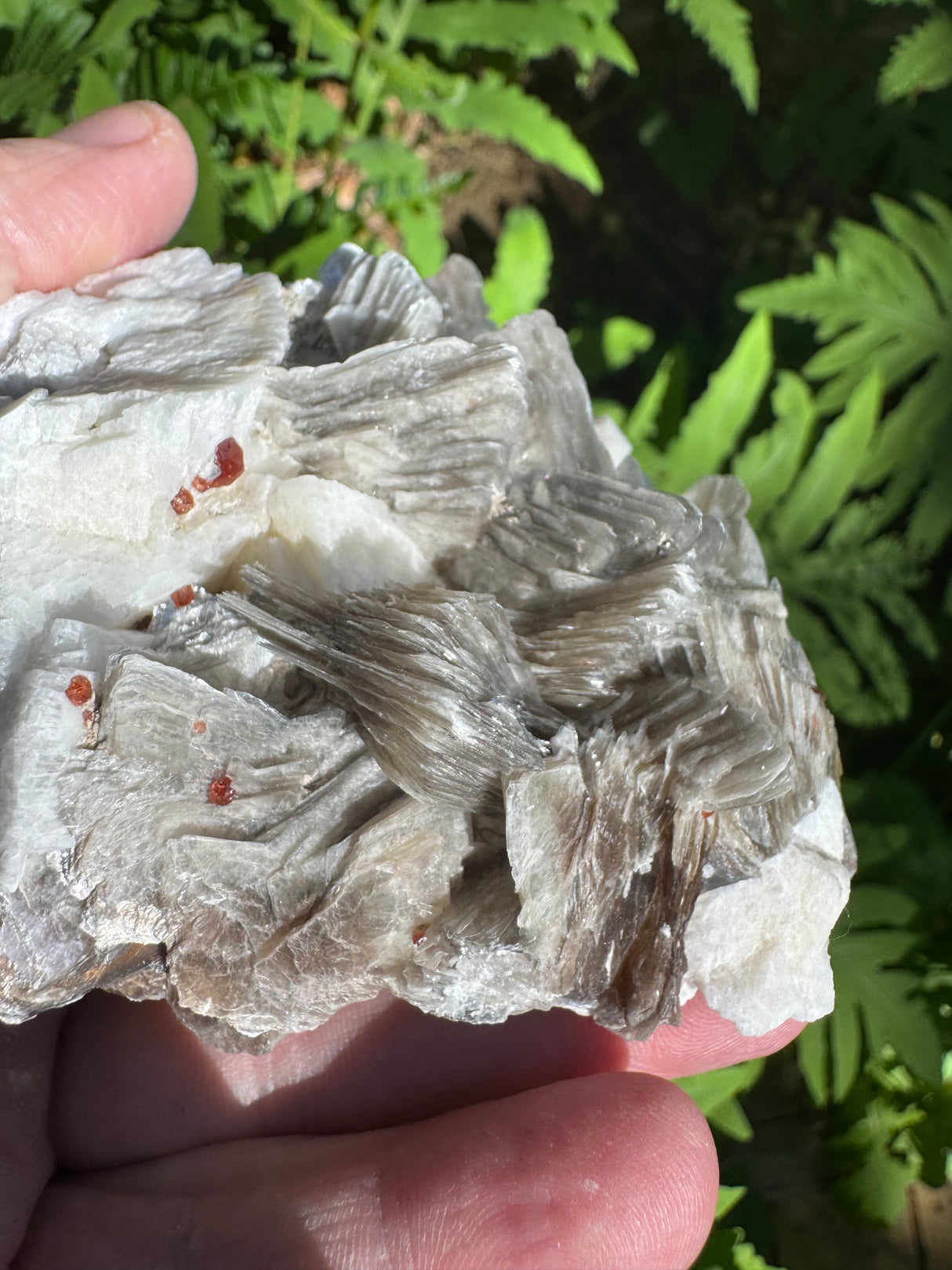 Garnet on Star Mica Specimen - 87g
