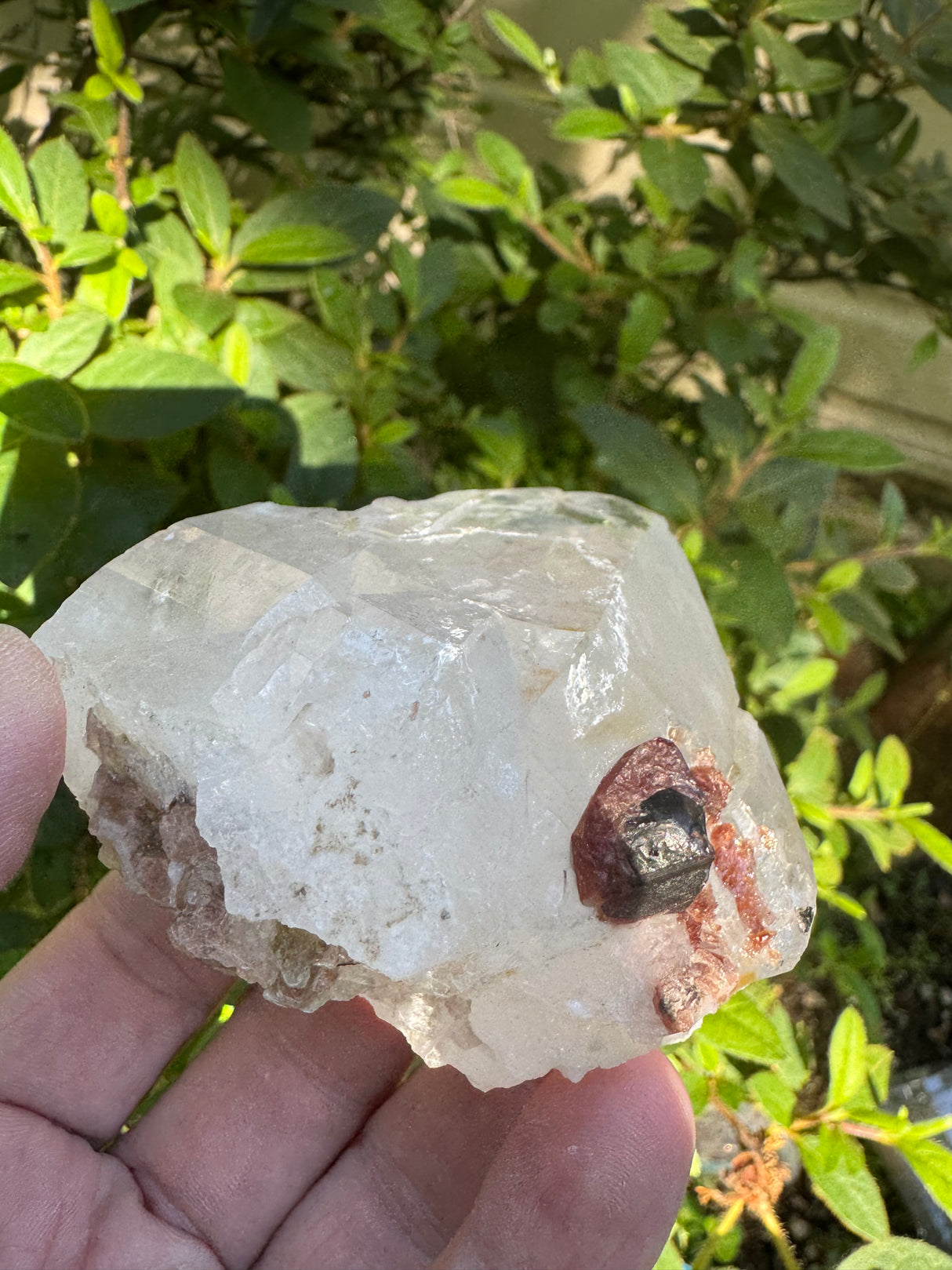 Garnet on Quartz Specimen - 99g