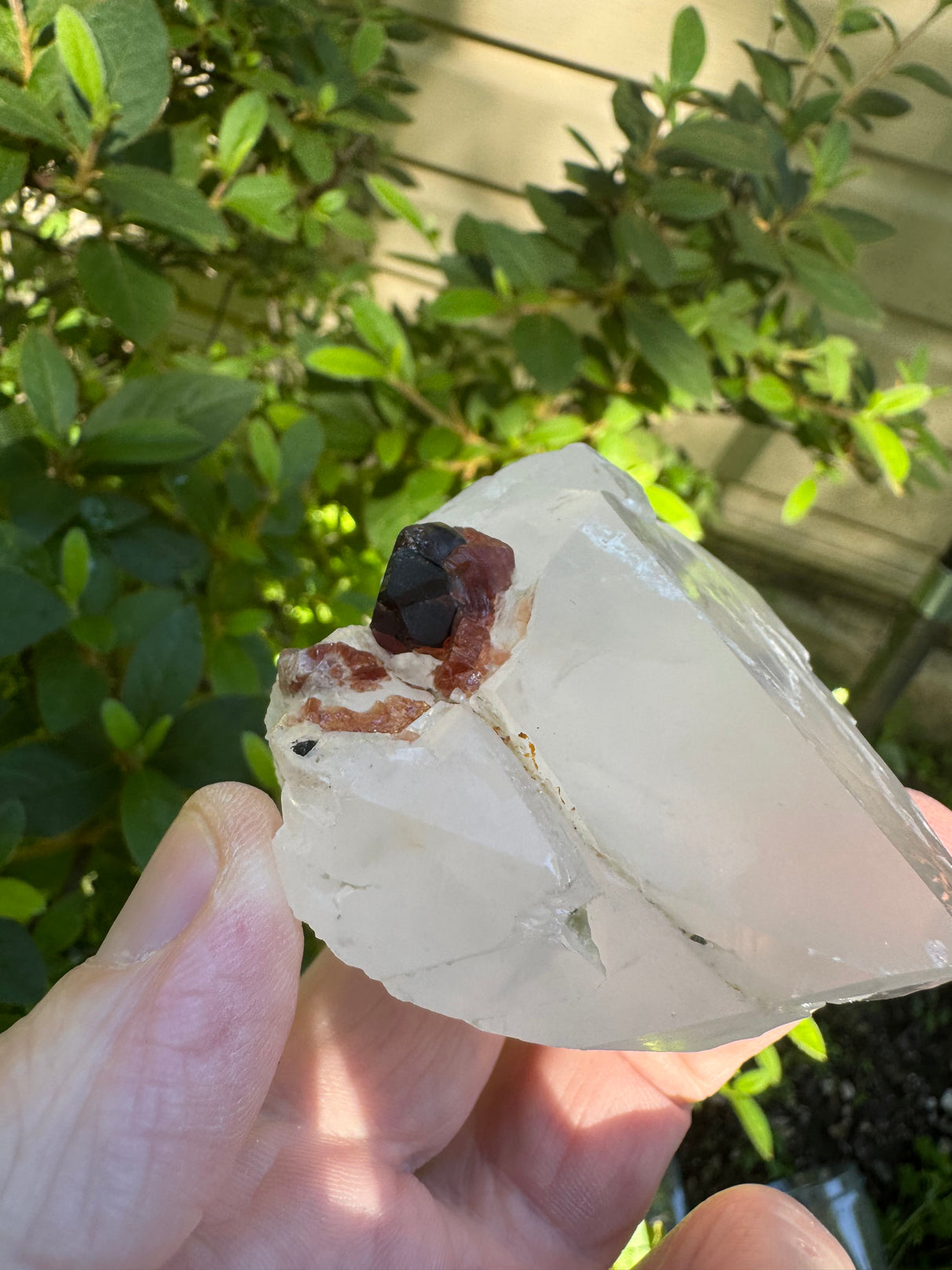 Garnet on Quartz Specimen - 99g