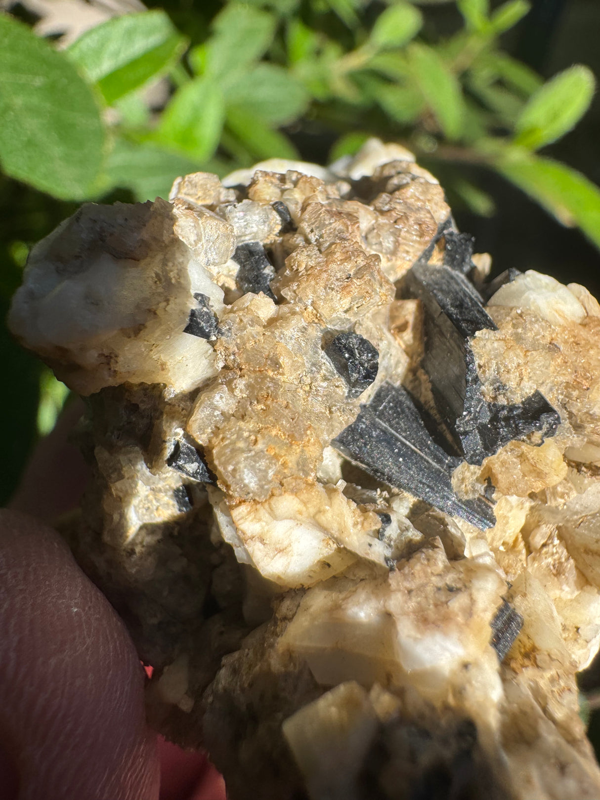 Black Tourmaline Specimen - 21g