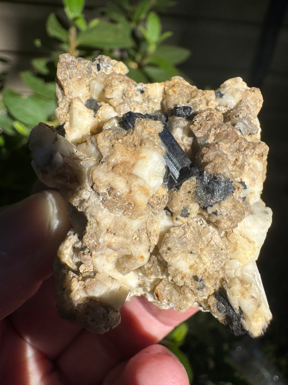 Black Tourmaline Specimen - 21g