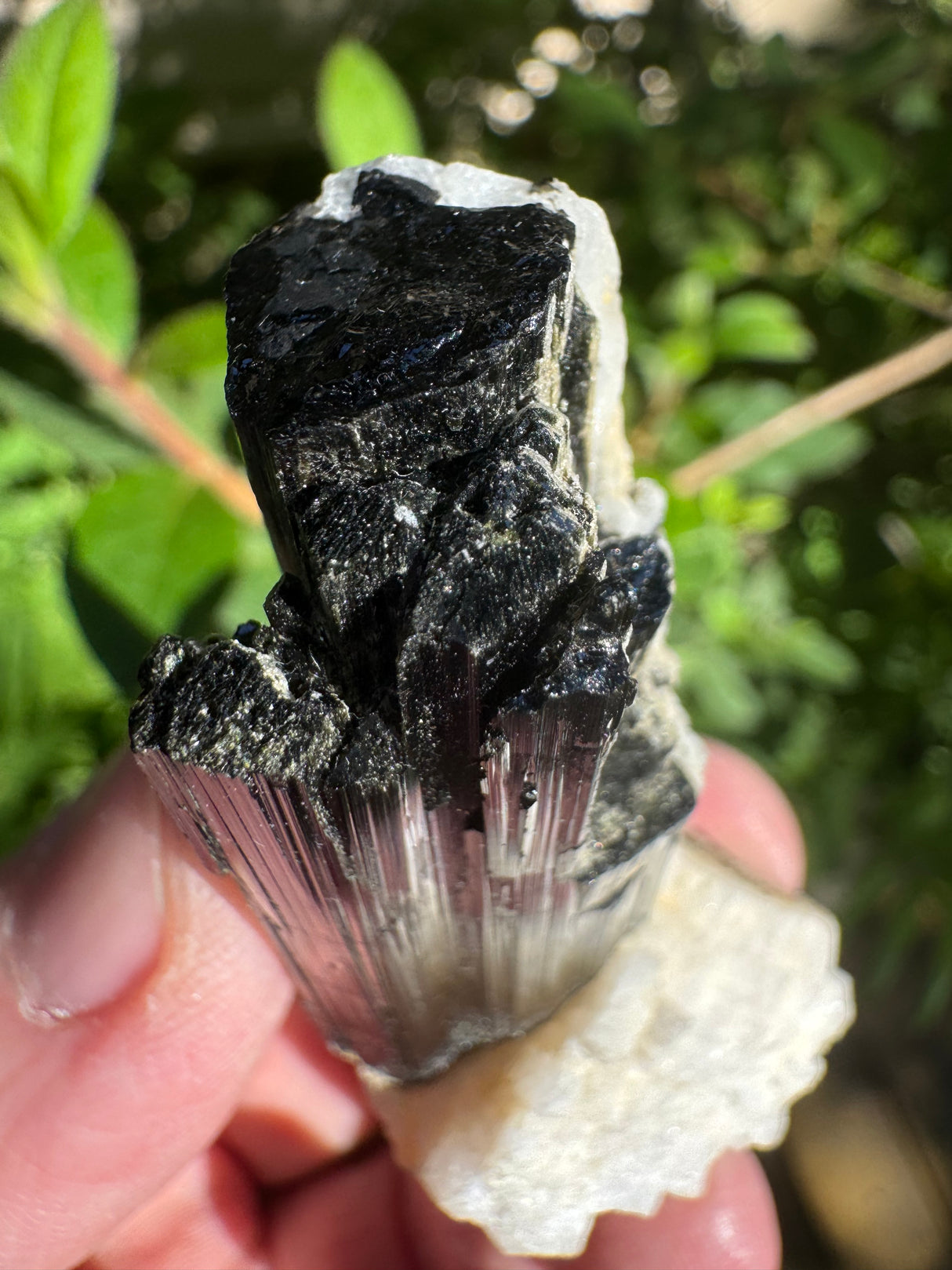 Black Tourmaline Specimen - 27g