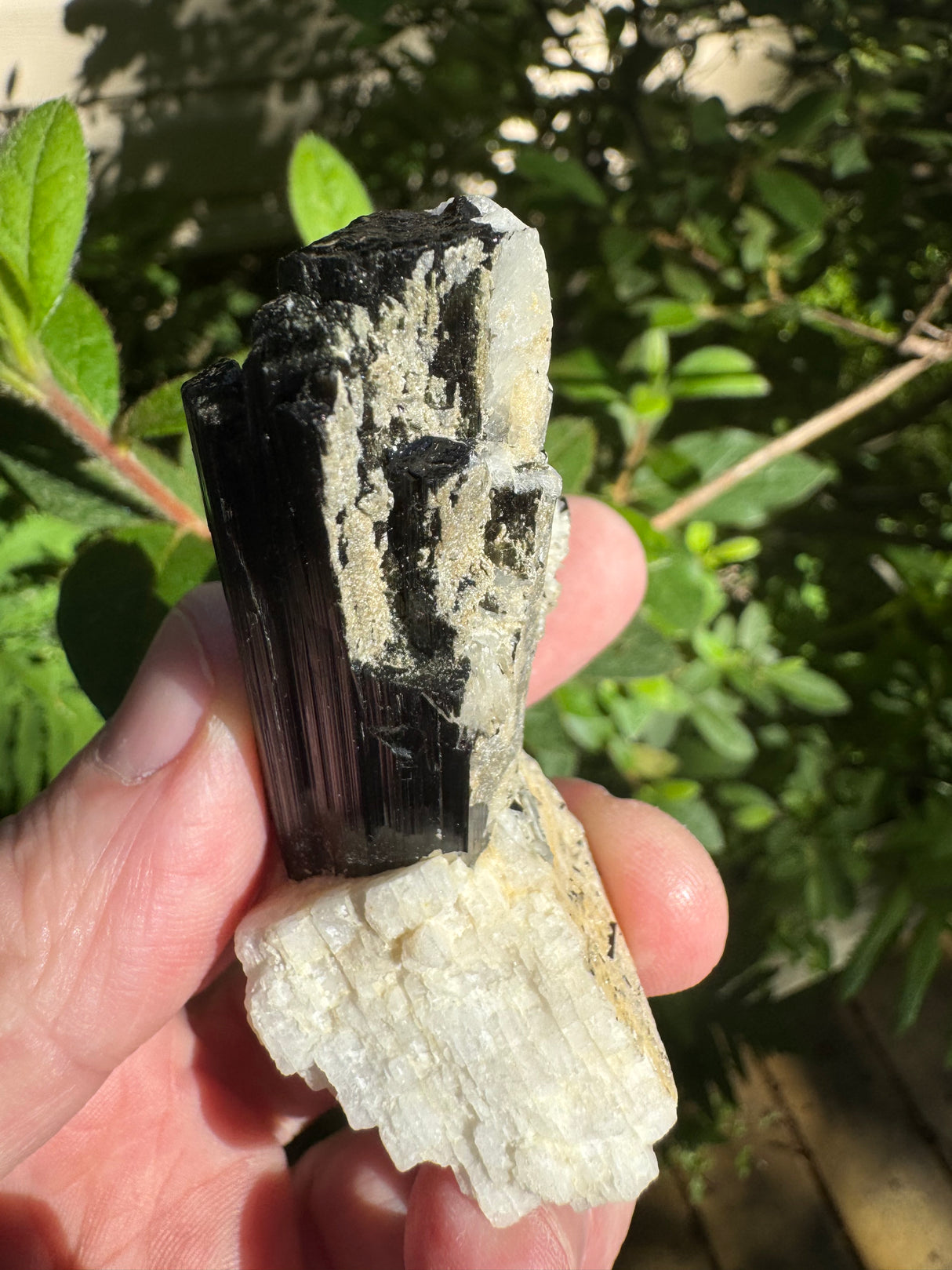 Black Tourmaline Specimen - 27g