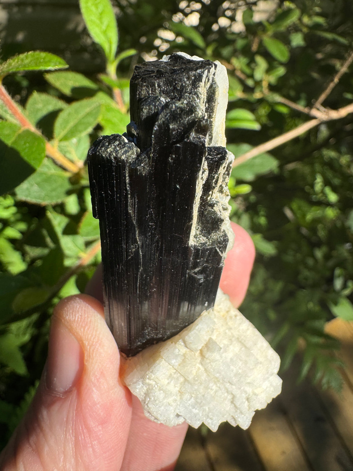 Black Tourmaline Specimen - 27g