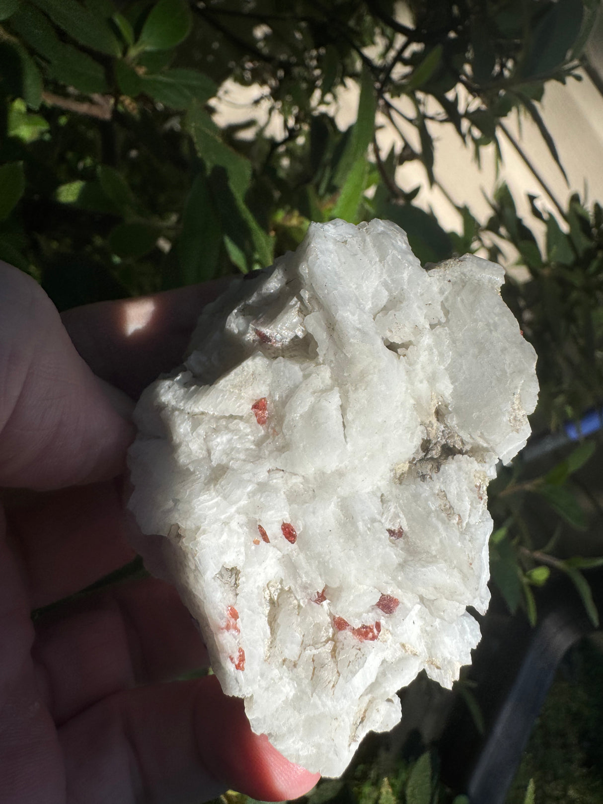 Garnet Specimen - 46g