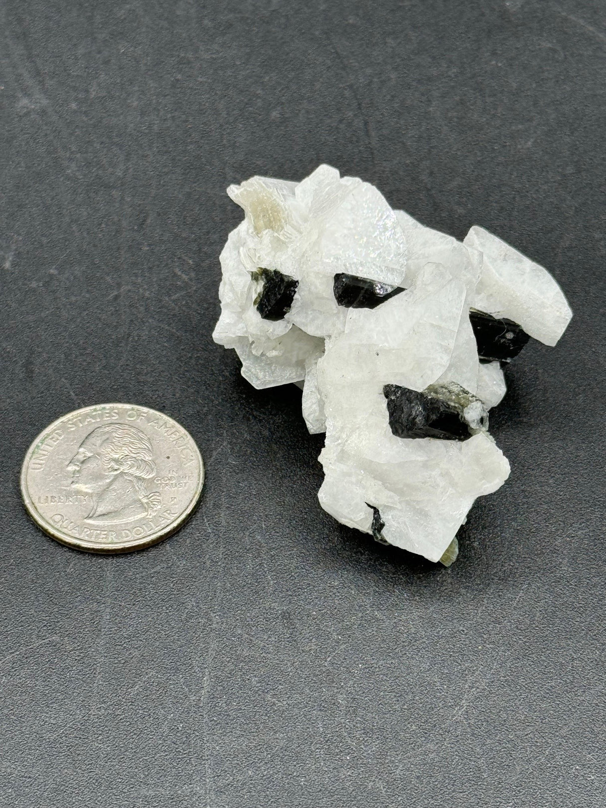 Black Tourmaline Specimen - 43g