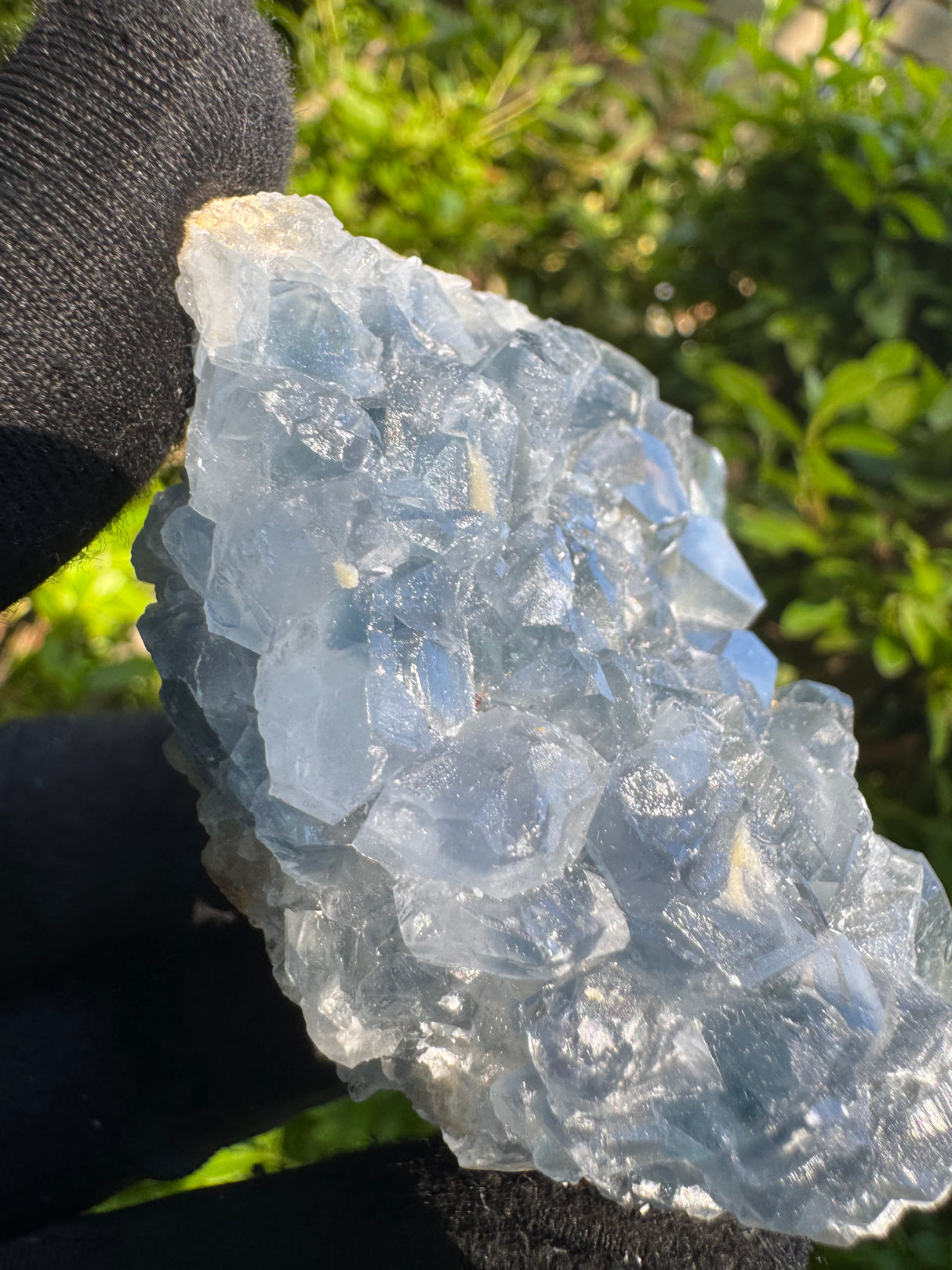 Celestine Specimen - 249g