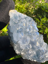 Celestine Specimen - 249g