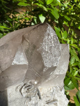 Quartz Specimen - 1107g