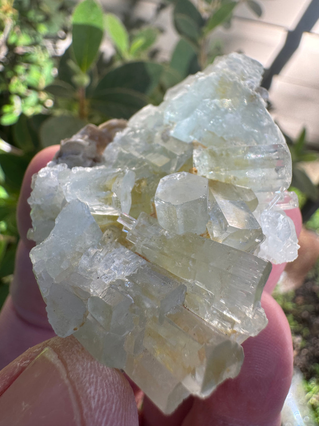 Aquarmarine Specimen - 22g