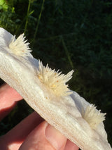 Flower Calcite Specimen - 135g